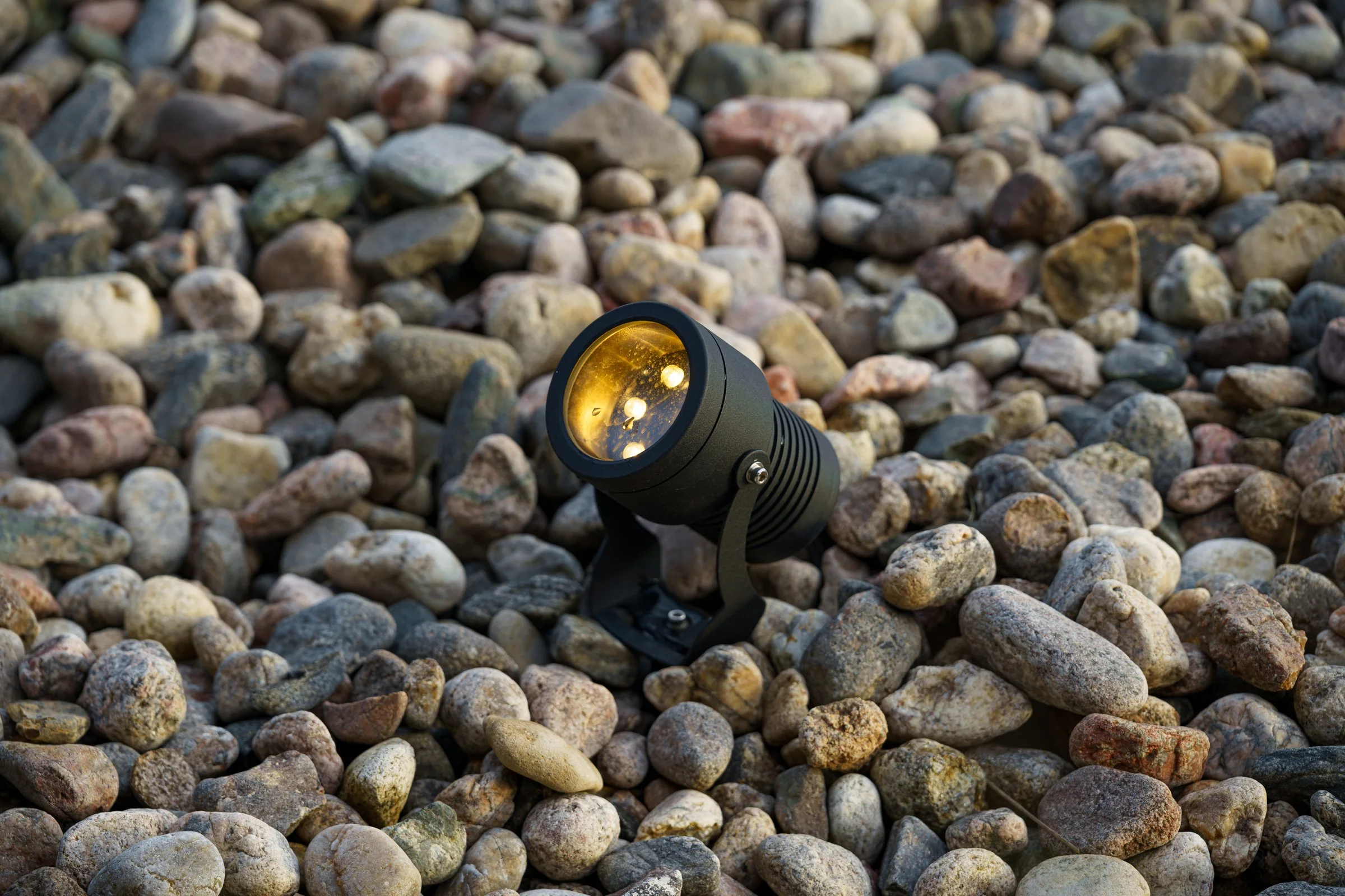 MBS - Adaptiv - Denver WEB-4.jpg