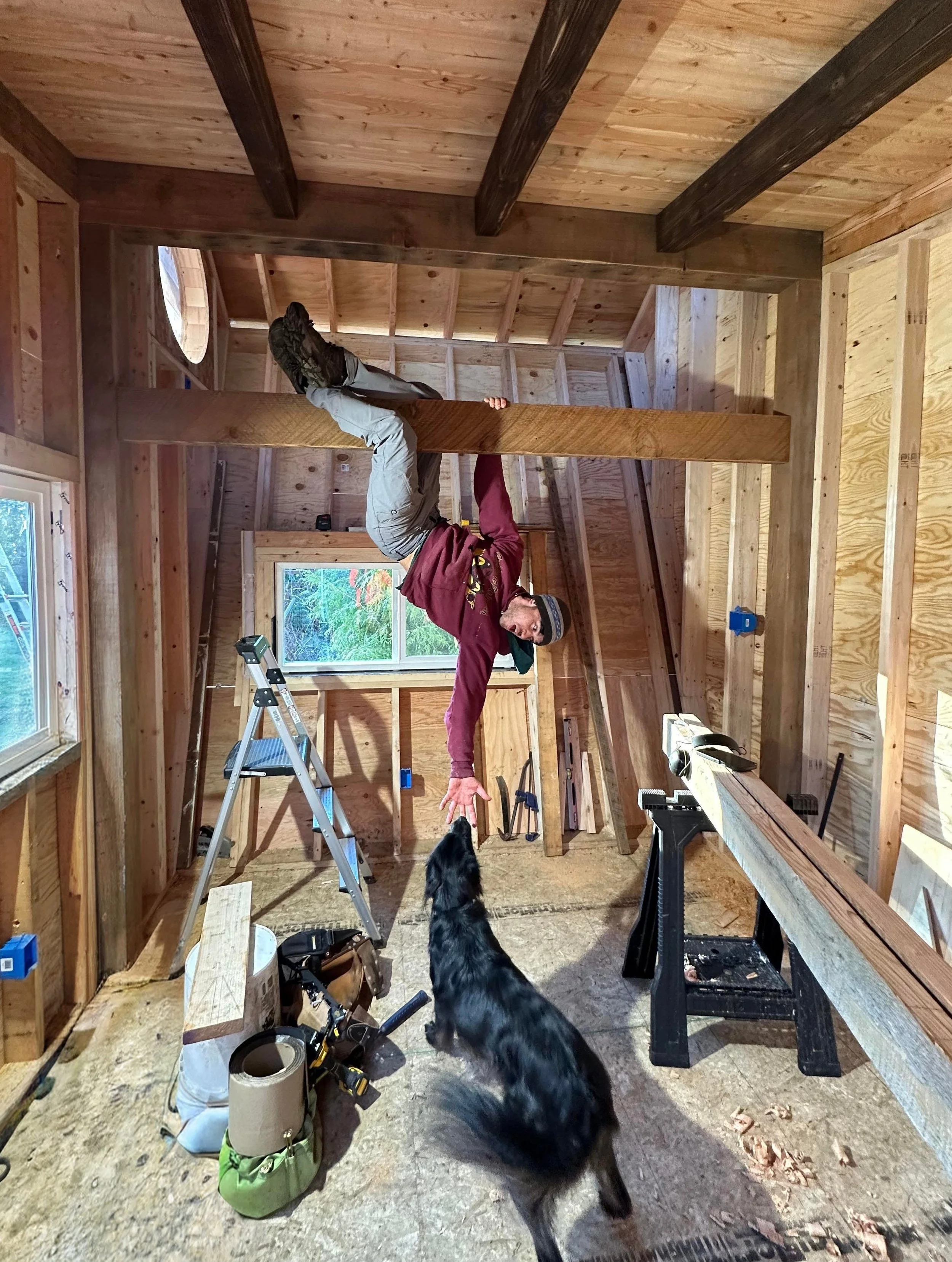 A man working on the construction of a small building with tools and a ladder, and a dog reaching out to him.