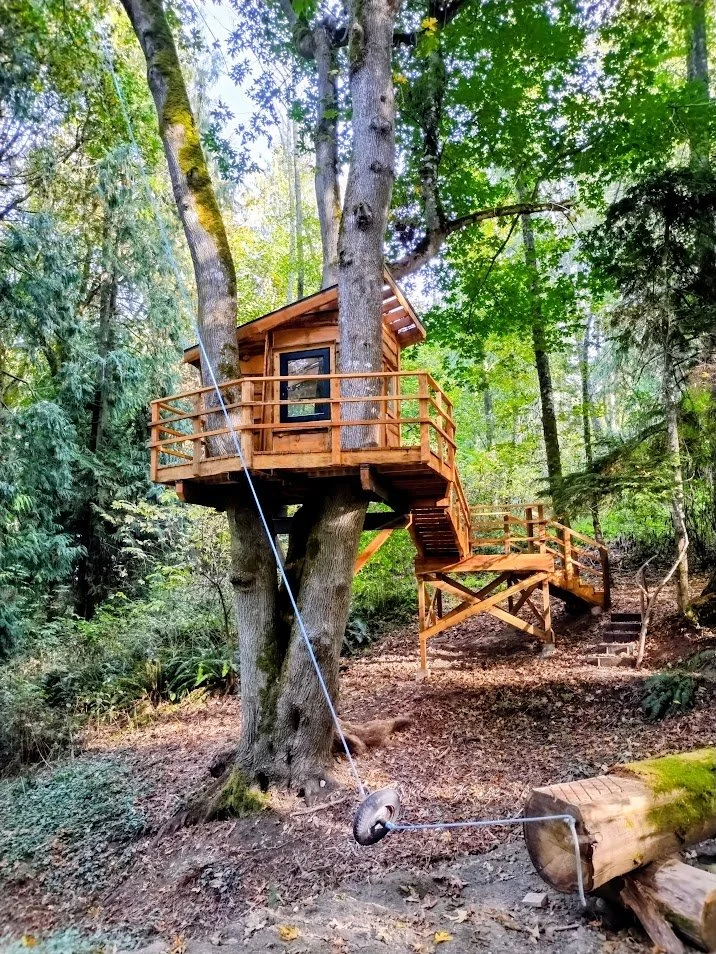 The Lone Maple Treehouse