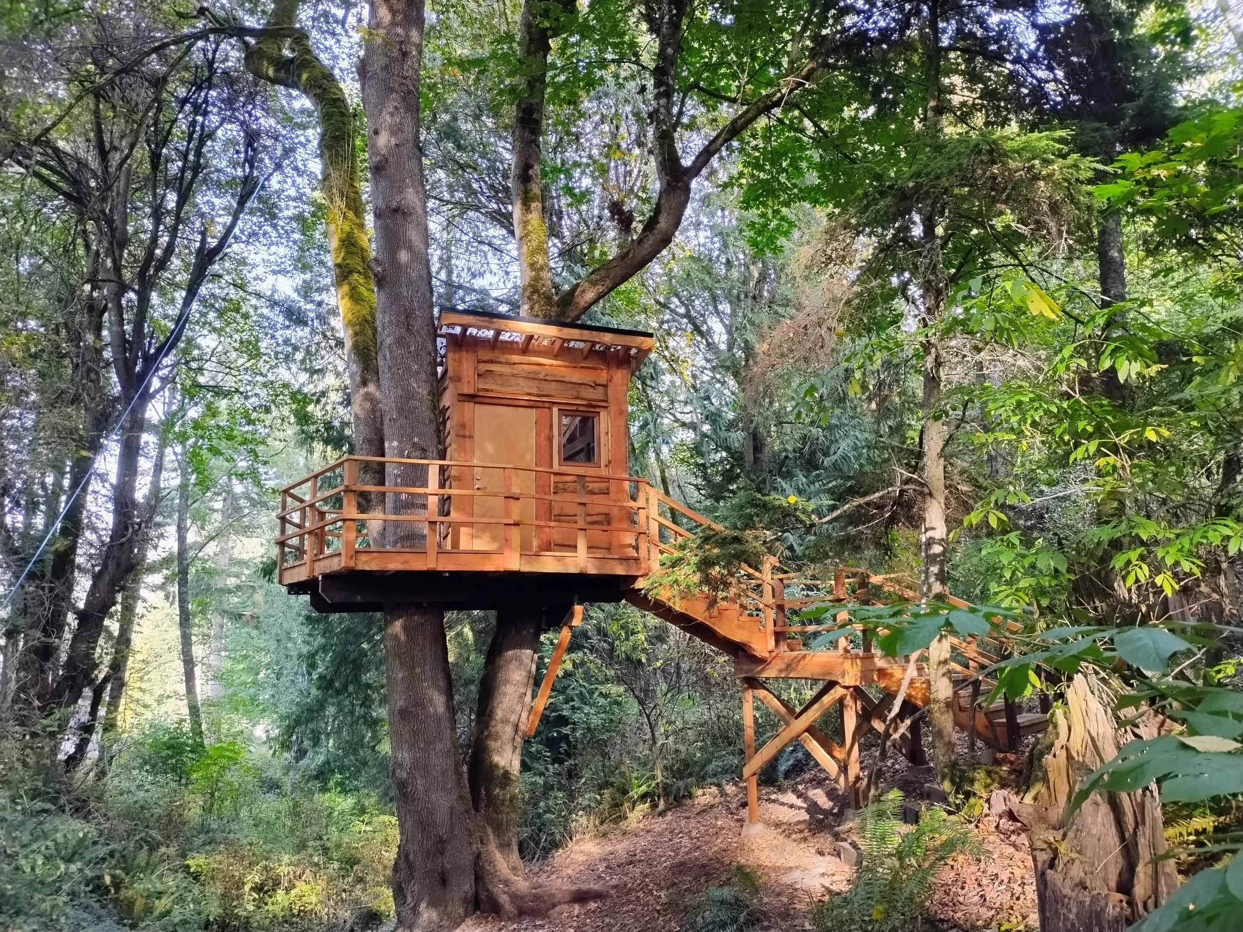 Wooden treehouse in a forest surrounded by green trees and foliage, with a staircase leading up to it.