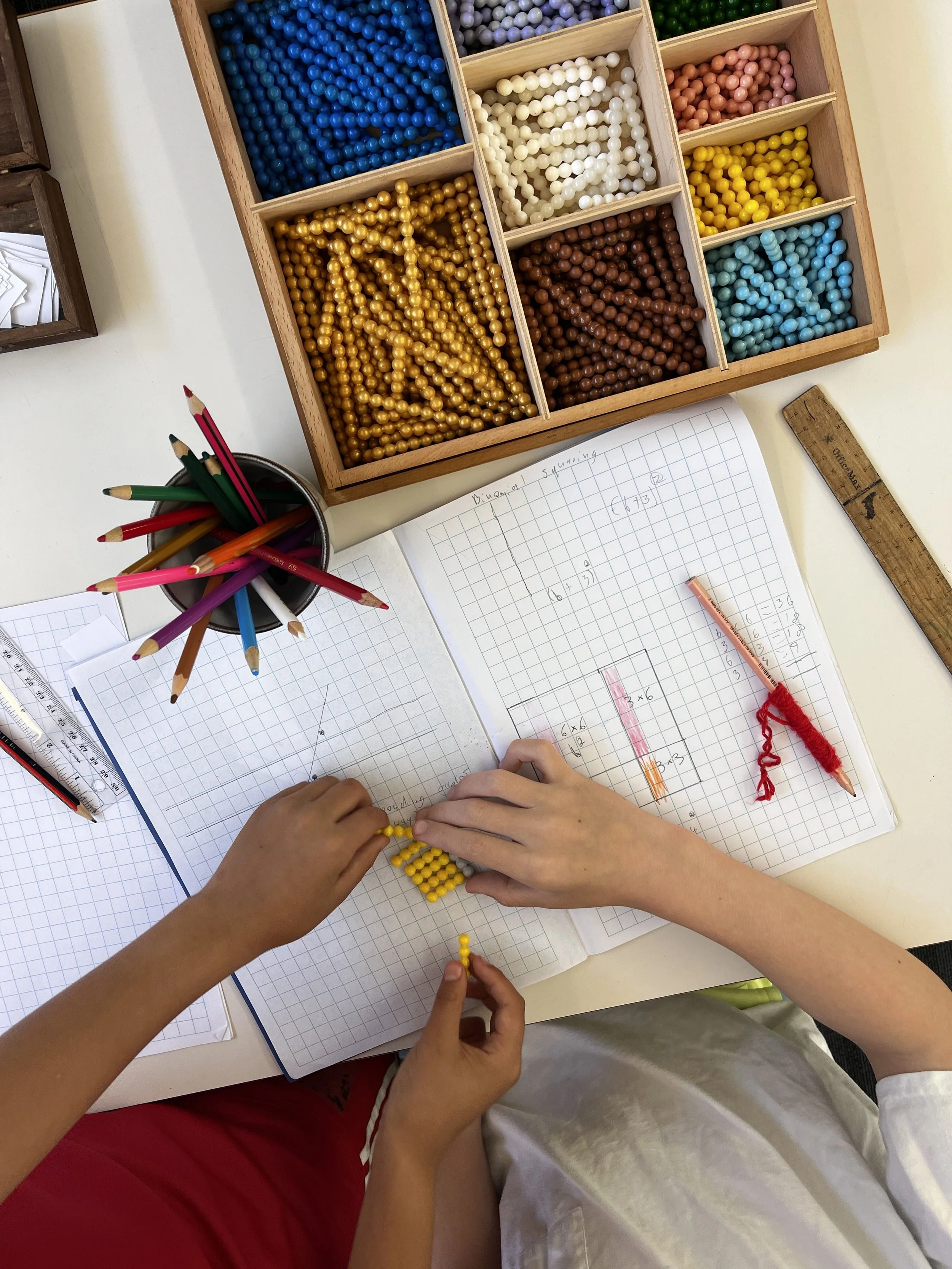 Hands & Numbers - Montessori Mathematics for the 5–9 Year Old