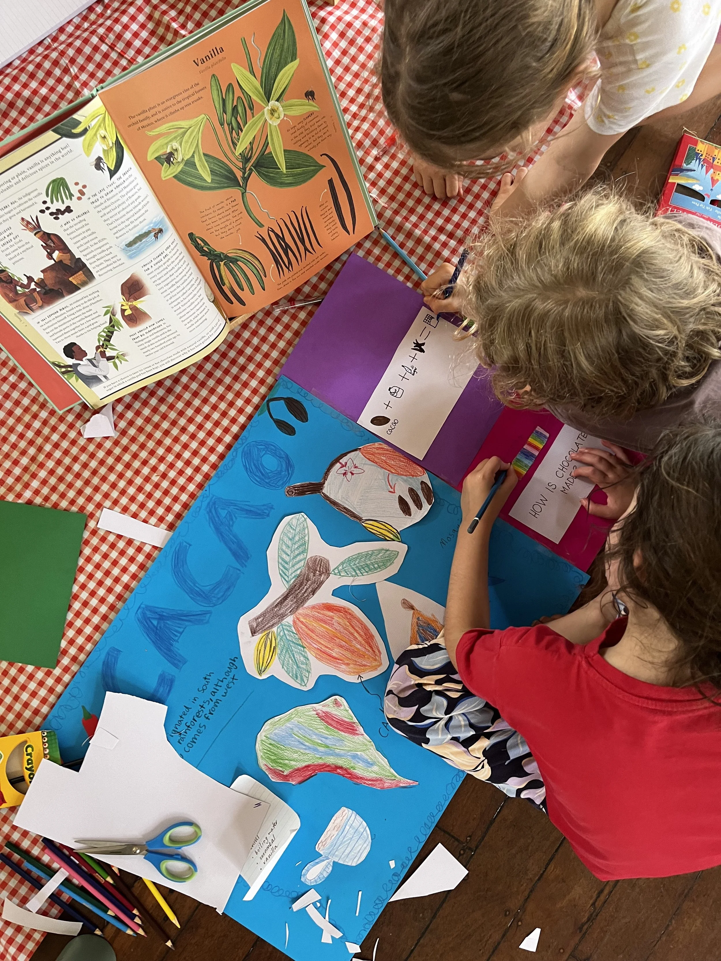 Investigating the fundamental needs of humans across time - the girls chose to focus on delicious plants.