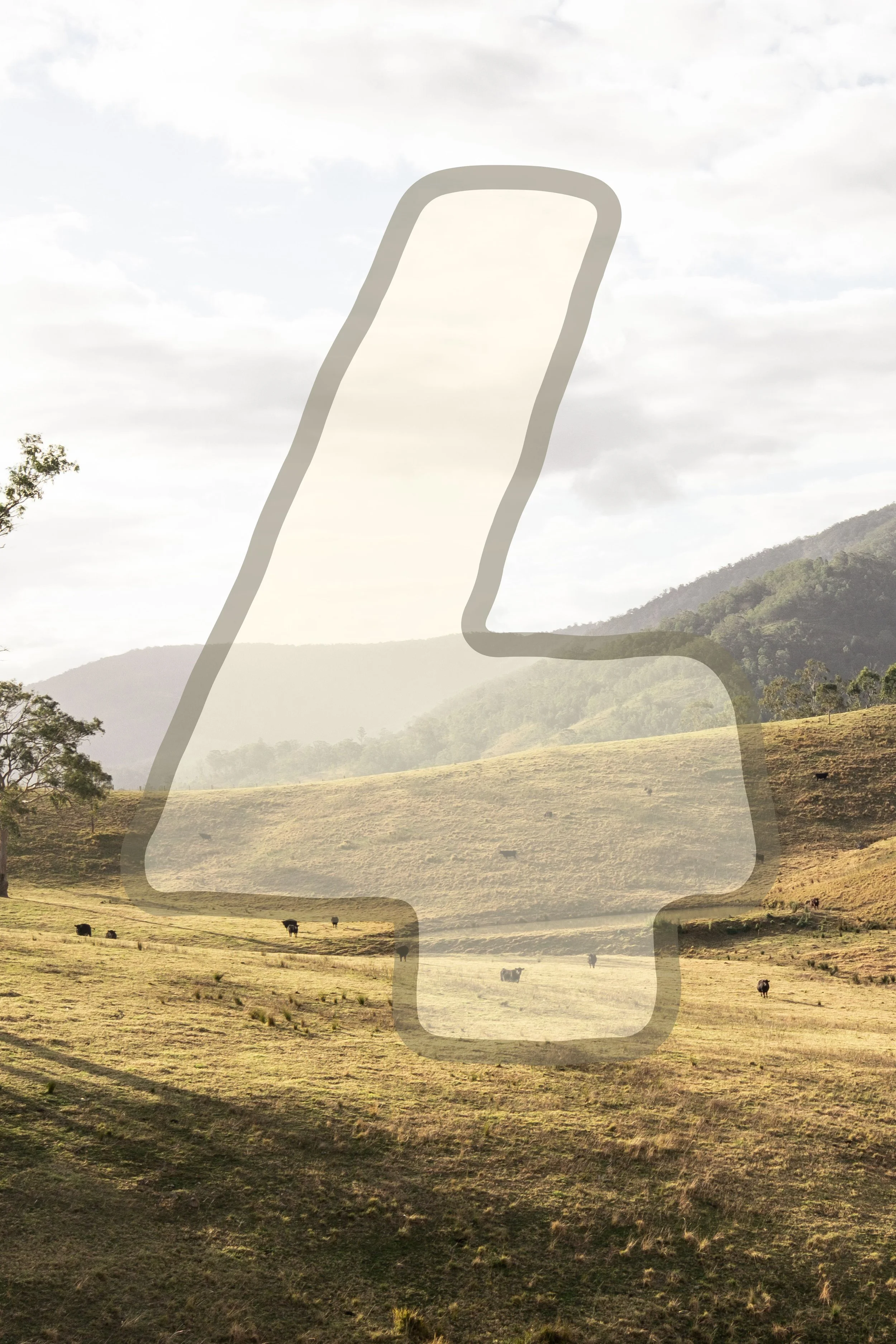 Basket of buffalo chicken wings with a side of ranch dressing, a glass of beer, and the Blind Bear logo at the top.