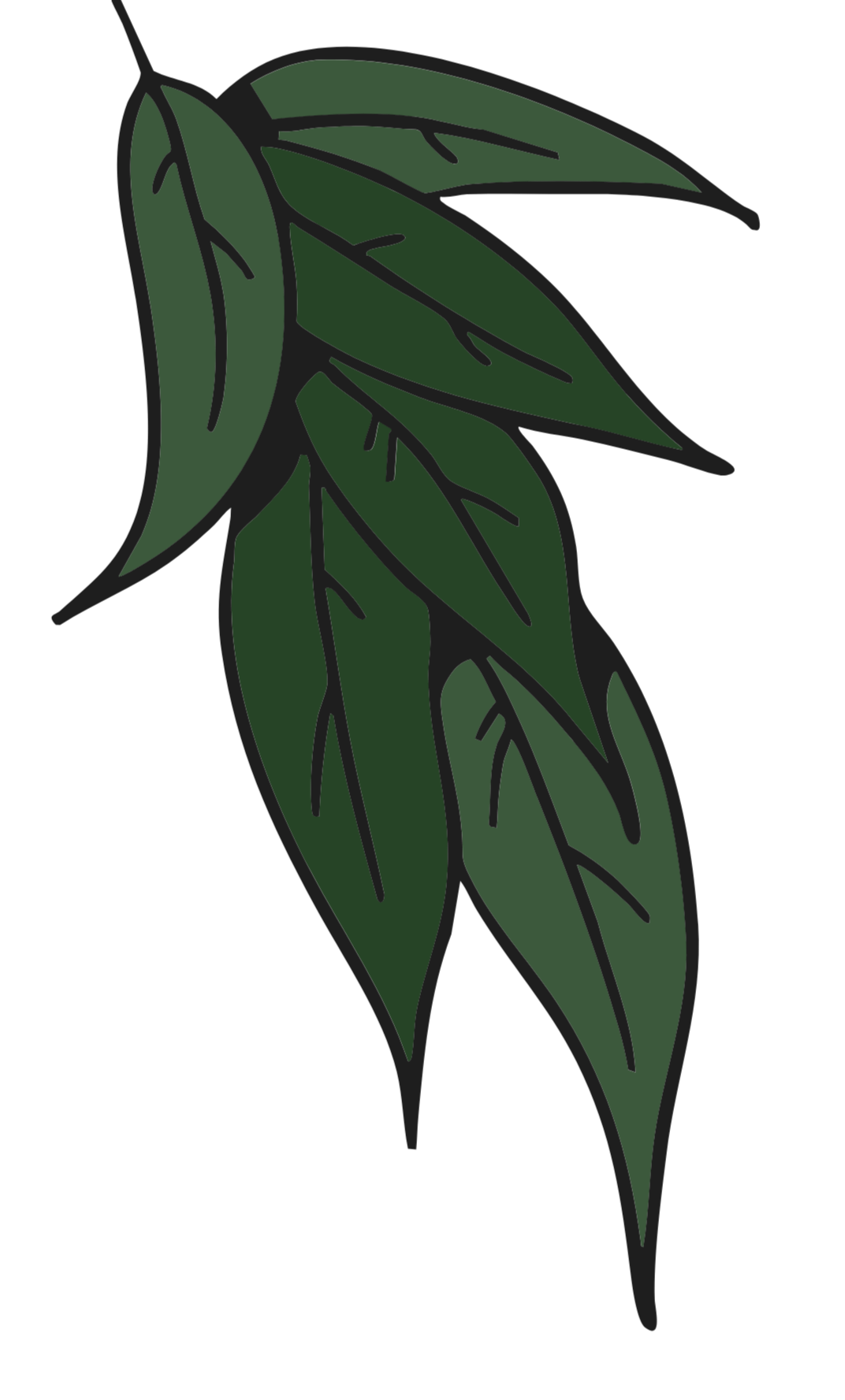 A bunch of green leaves with dark outlines.