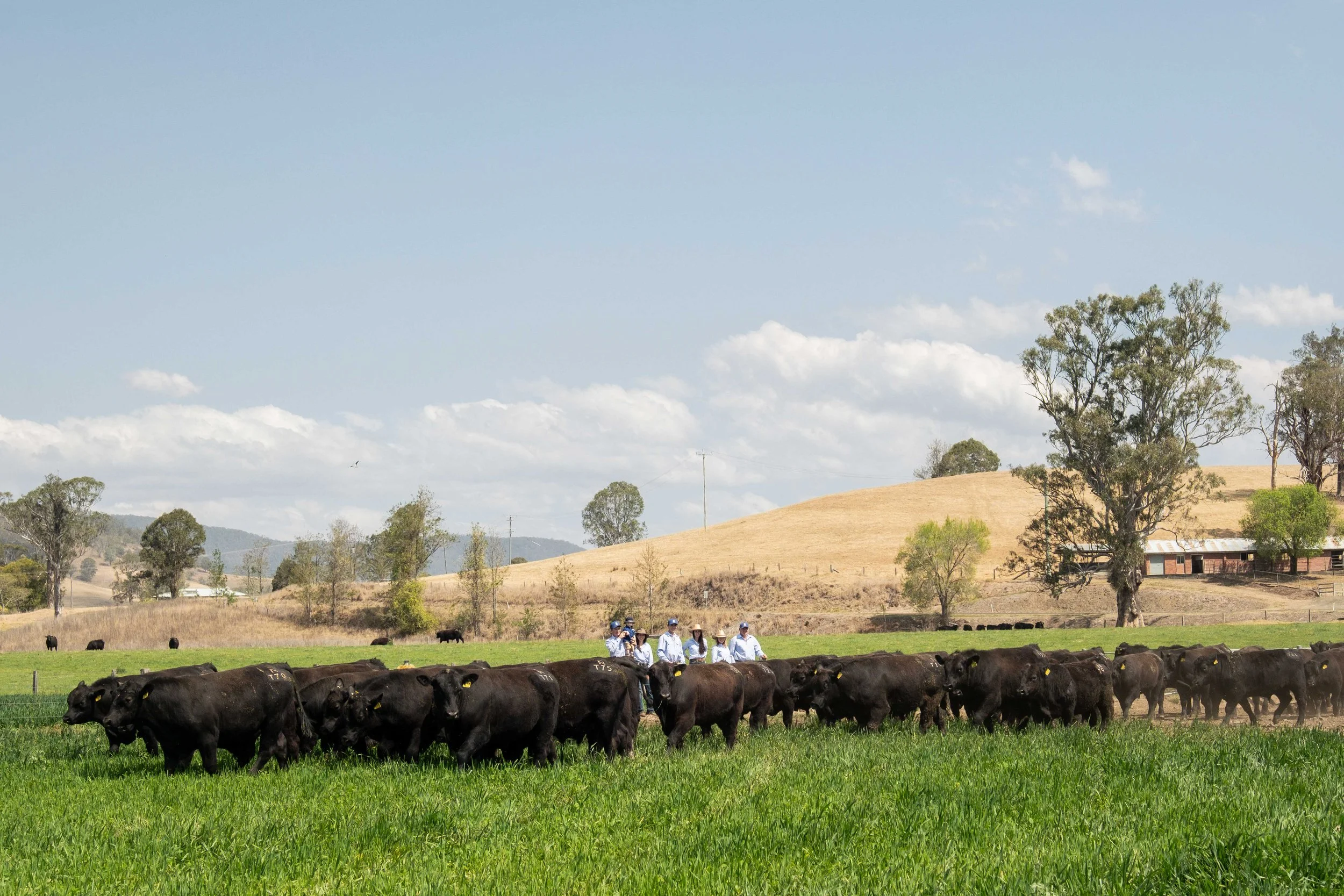 Just Country x Macka's Shoot (Septemer 2023)_Lowres-201.jpg