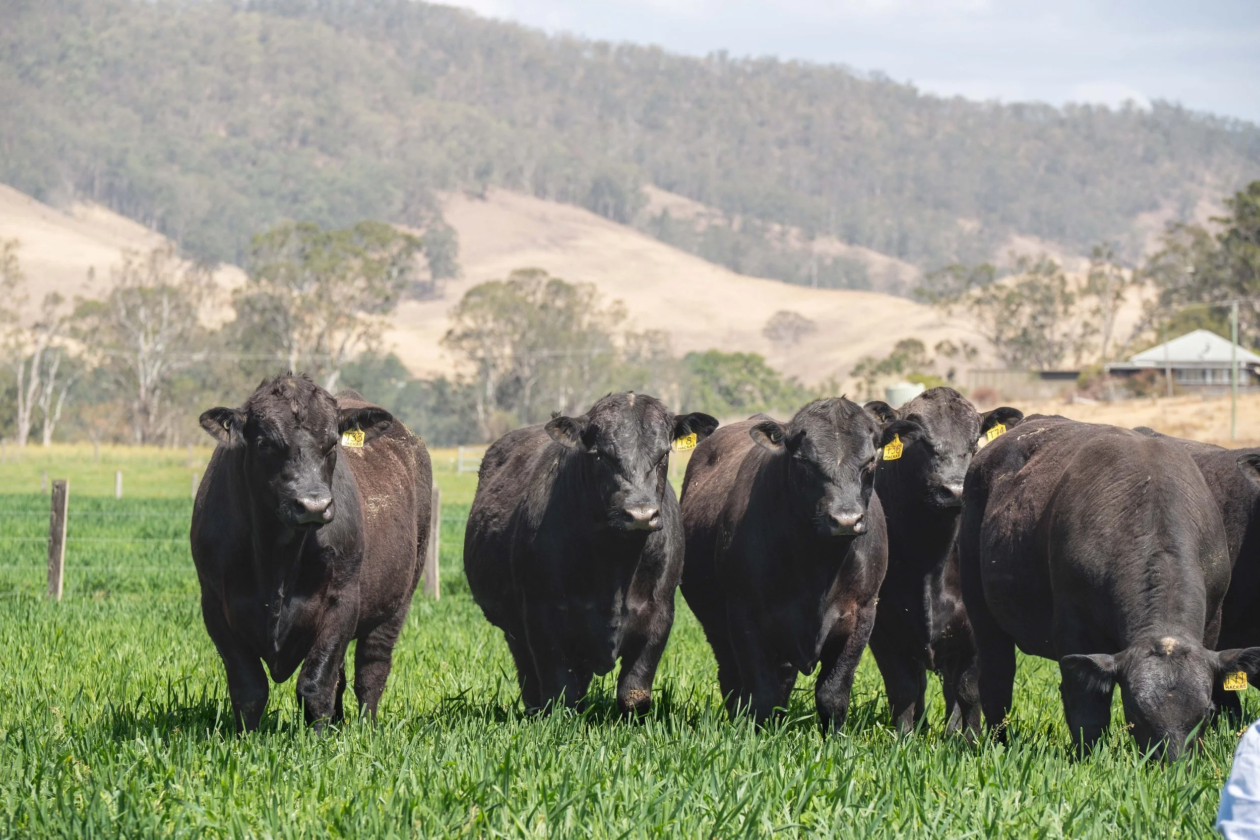 Just Country x Macka's Shoot (Septemer 2023)_Lowres-210.jpg