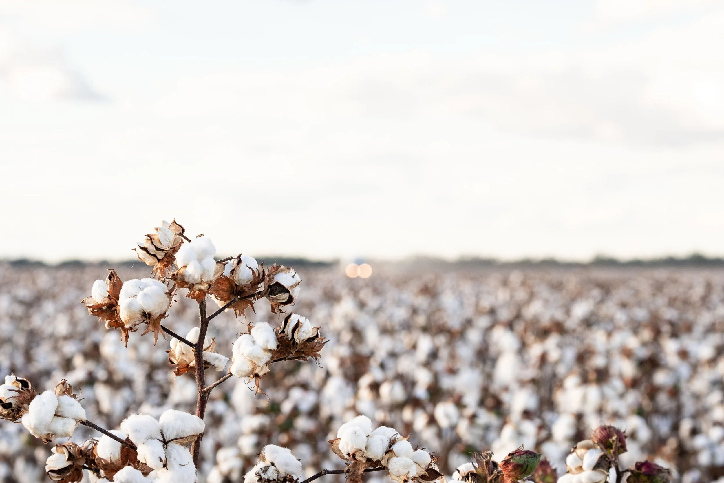 Agricore / wincott farm