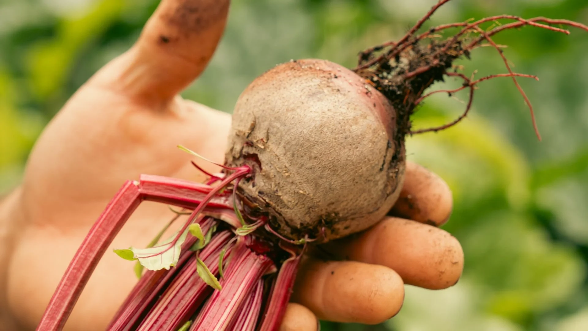 brand Storytelling & production