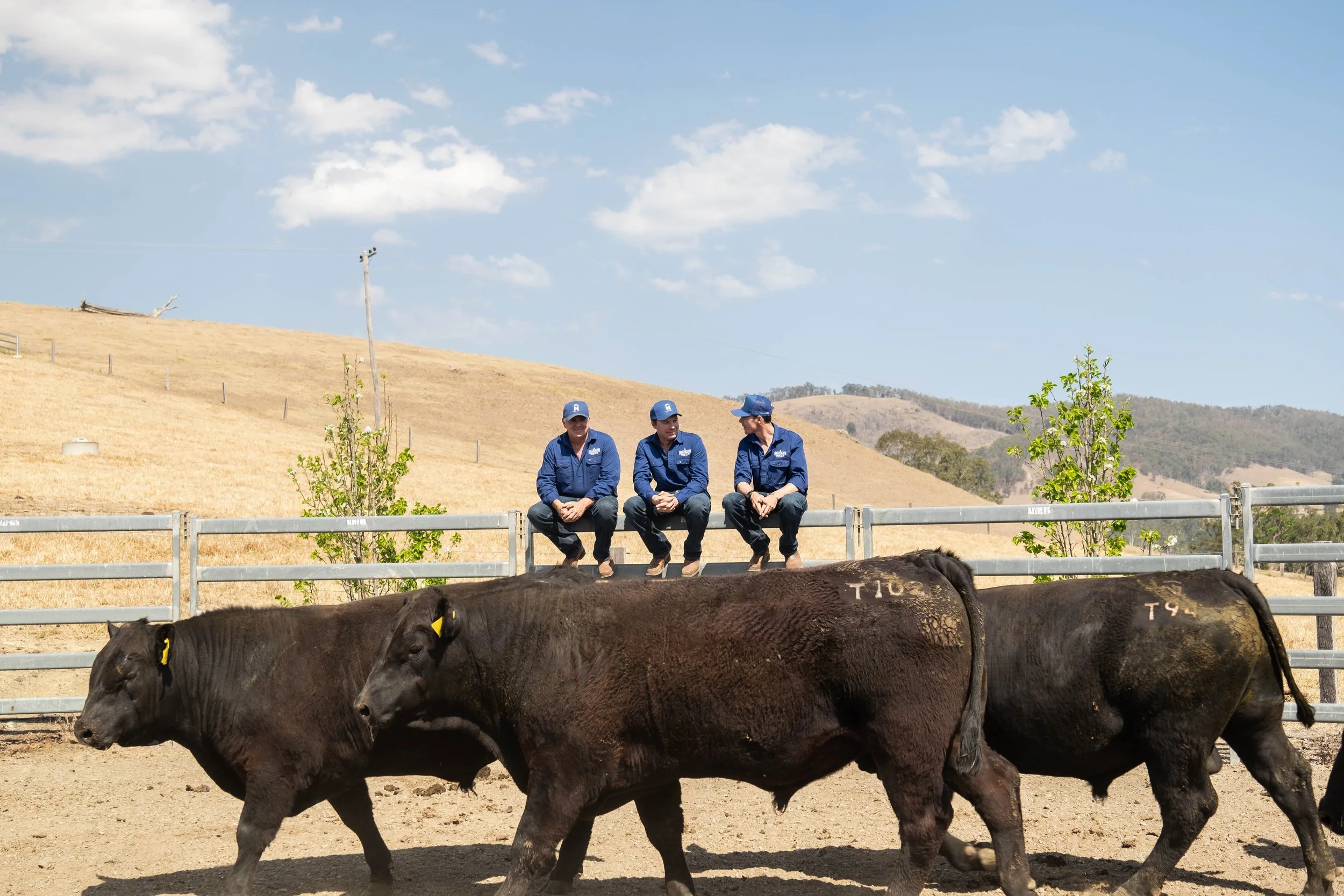 Just Country x Macka's Shoot (Septemer 2023)_Lowres-228.jpg