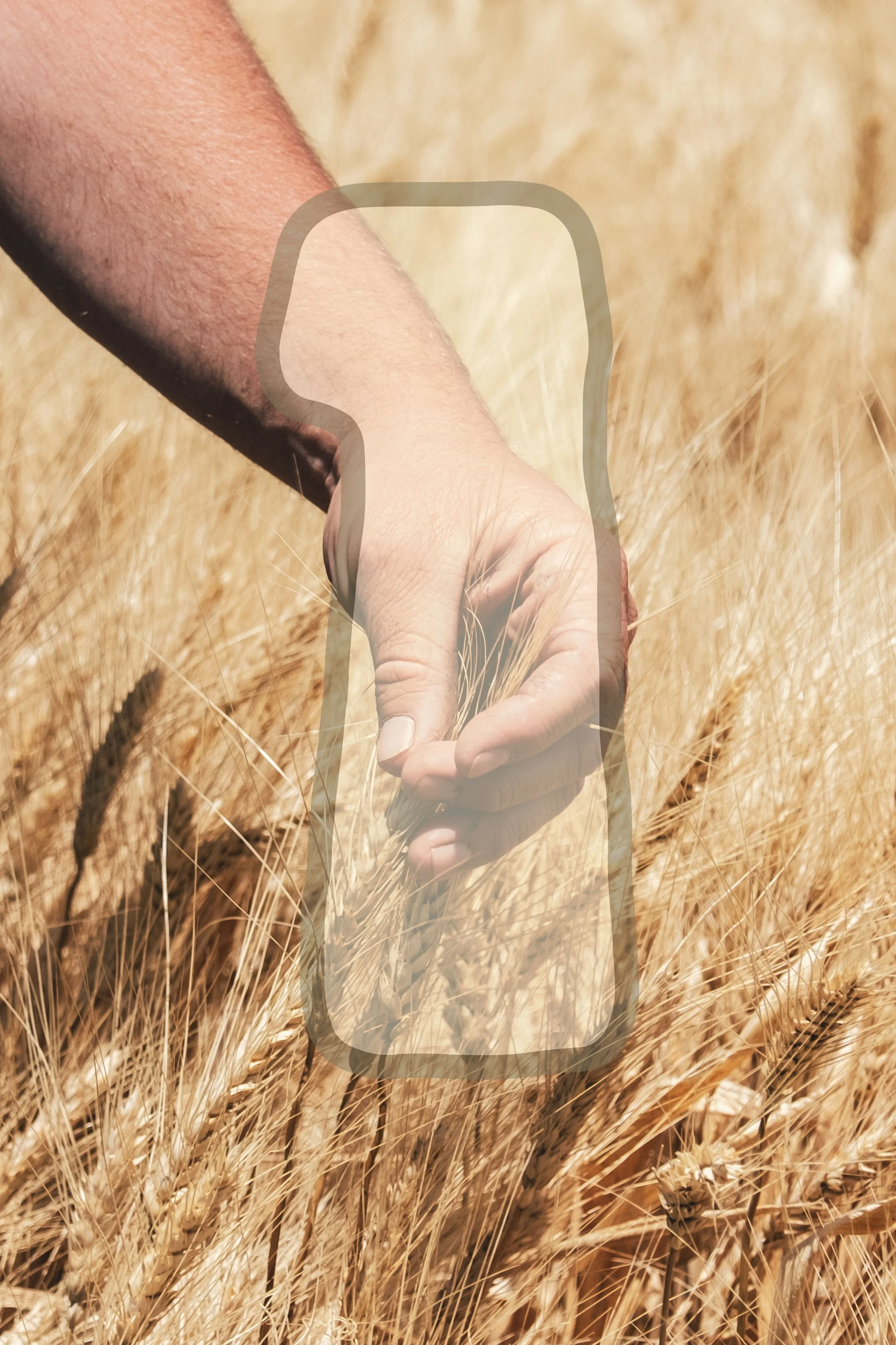 A woman with curly hair running on the beach in a blue one-piece swimsuit. The swimsuit has a colorful seafood pattern with shrimp and lobster. The background shows the ocean and distant city buildings.