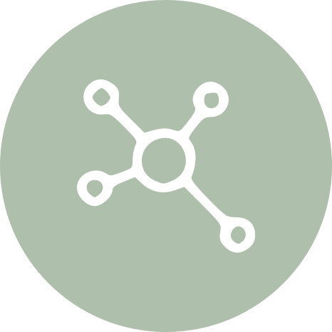 Icon of a molecular structure or network with a central circle connected to four outer circles.