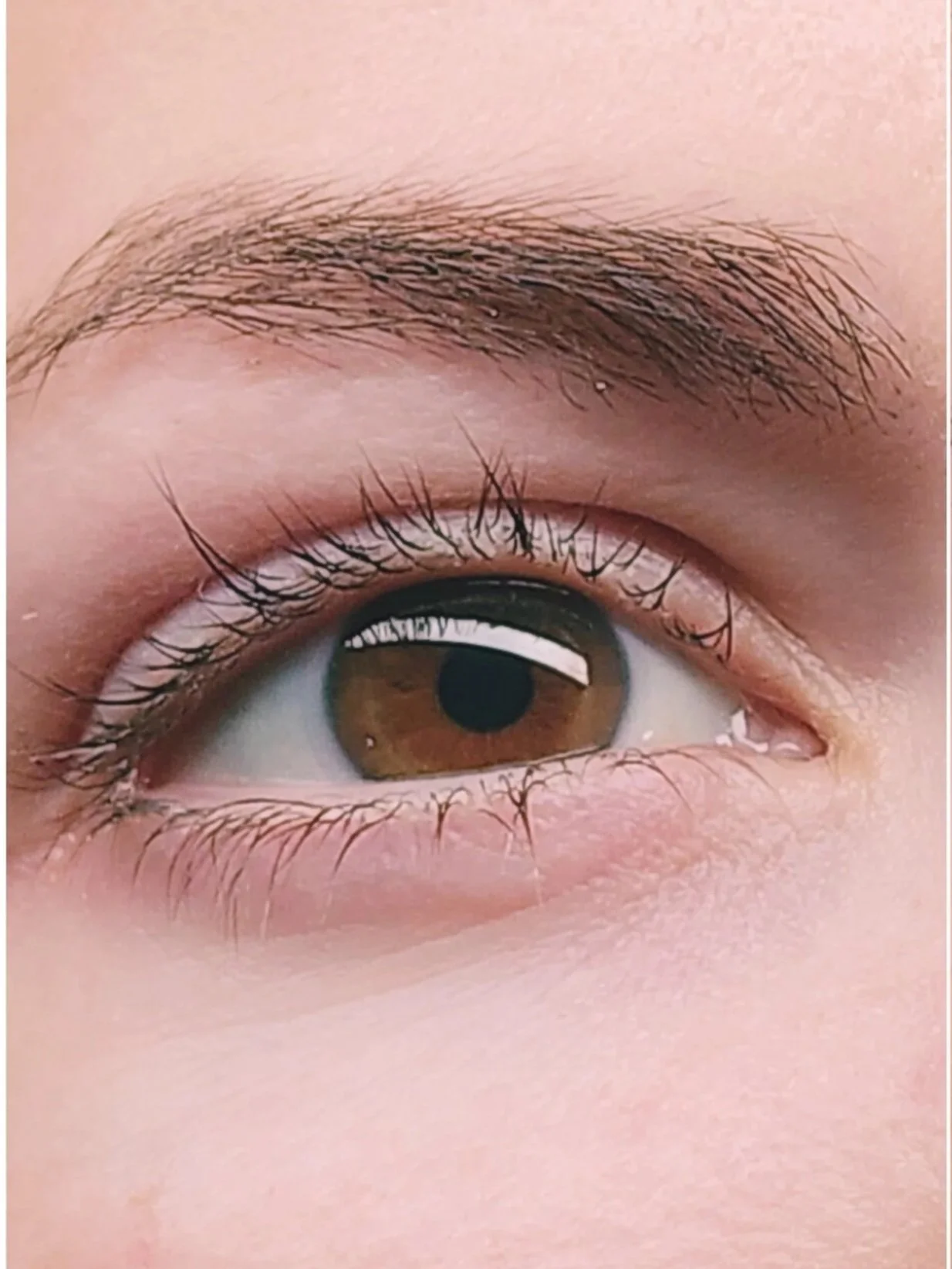 Close-up of a human eye with brown iris and detailed eyelashes and eyebrow.
