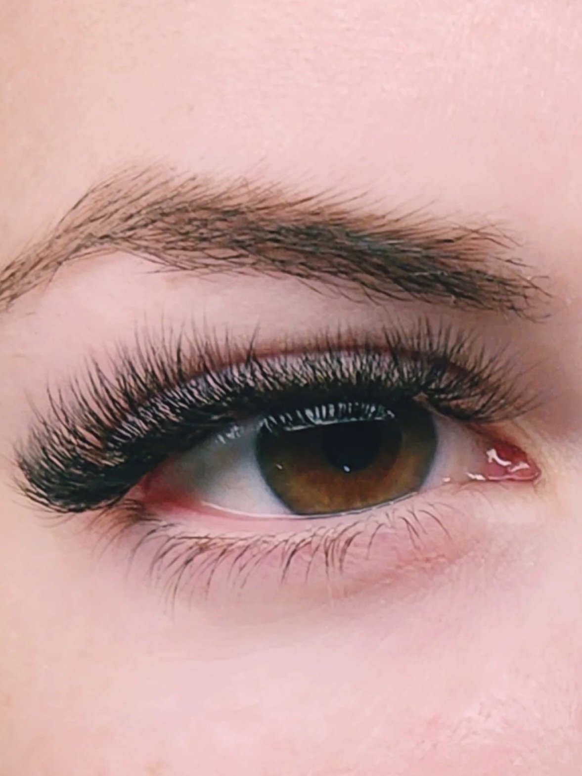 Close-up of a human eye with brown iris, long eyelashes, and well-groomed eyebrow.