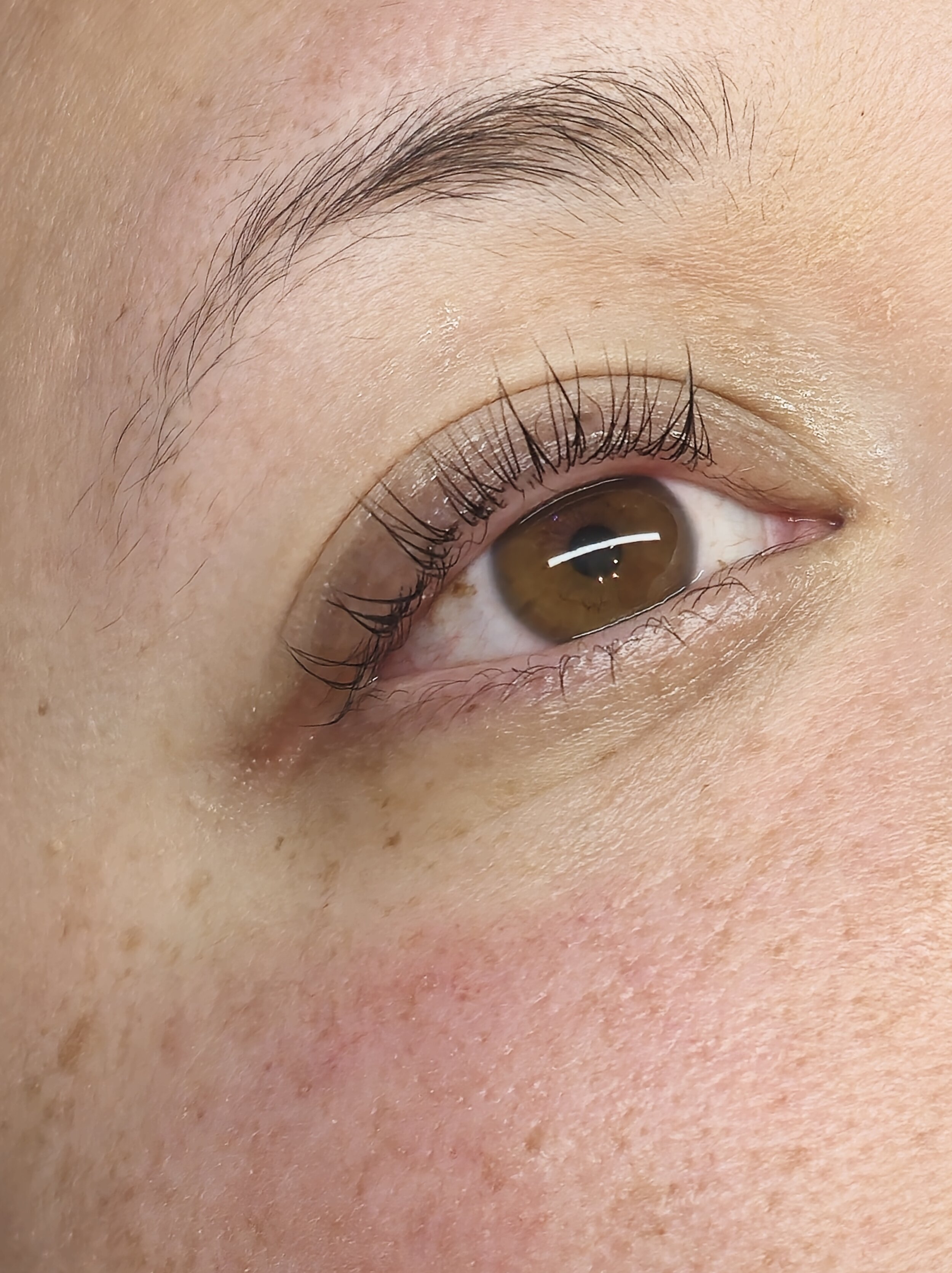 Close-up of a human eye with brown iris, long eyelashes, and well-groomed eyebrow.
