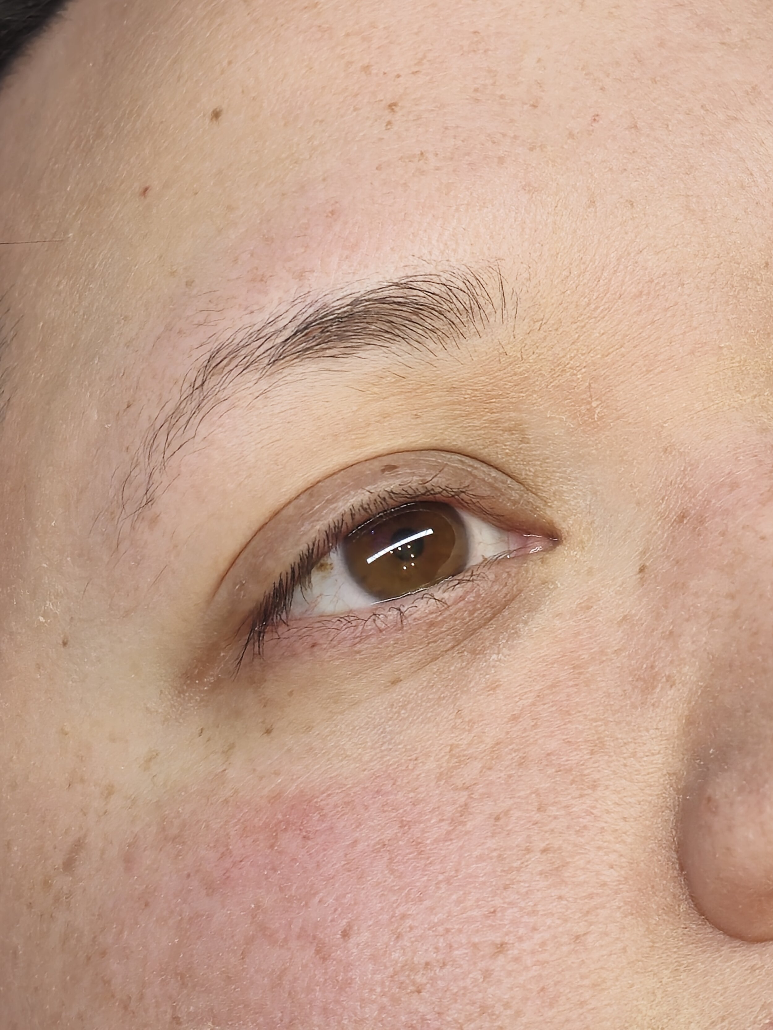 Close-up of a person's eye and surrounding facial features, showing brown eye, eyelashes, and light skin with freckles.