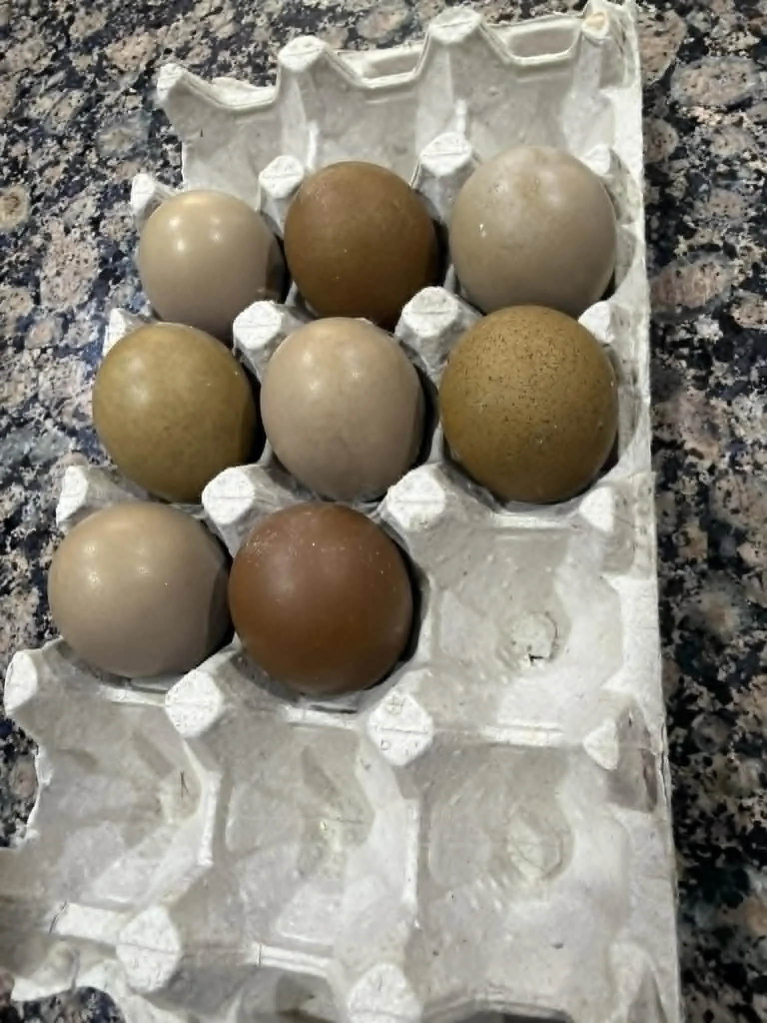 Oliver-Egger Eggs