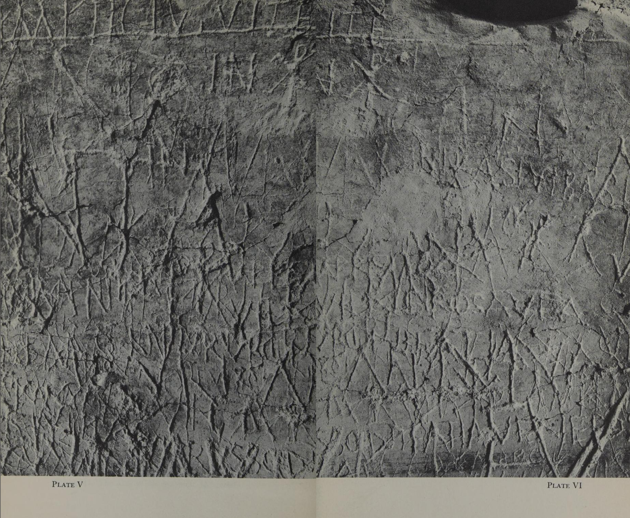 Graffiti wall, Guarducci