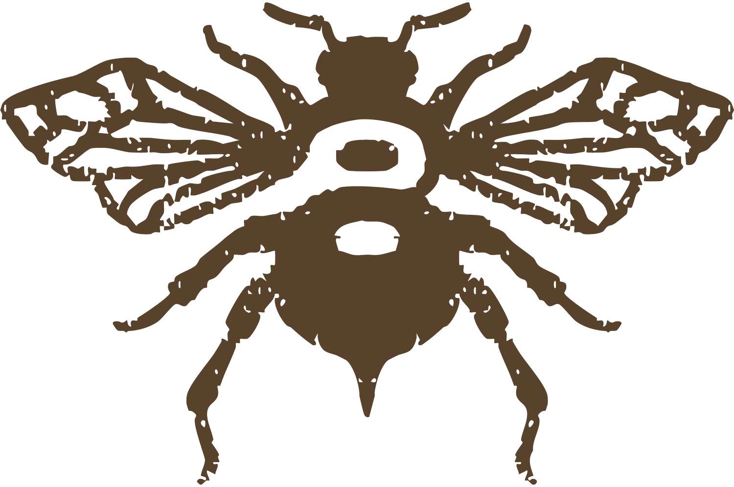 beehivecoffeehouse.com