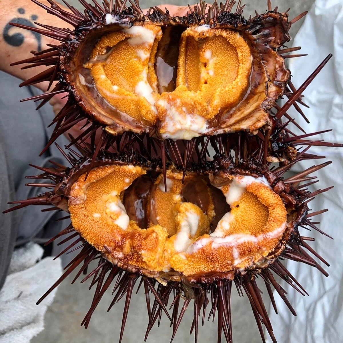 image_123650291 (14).JPG