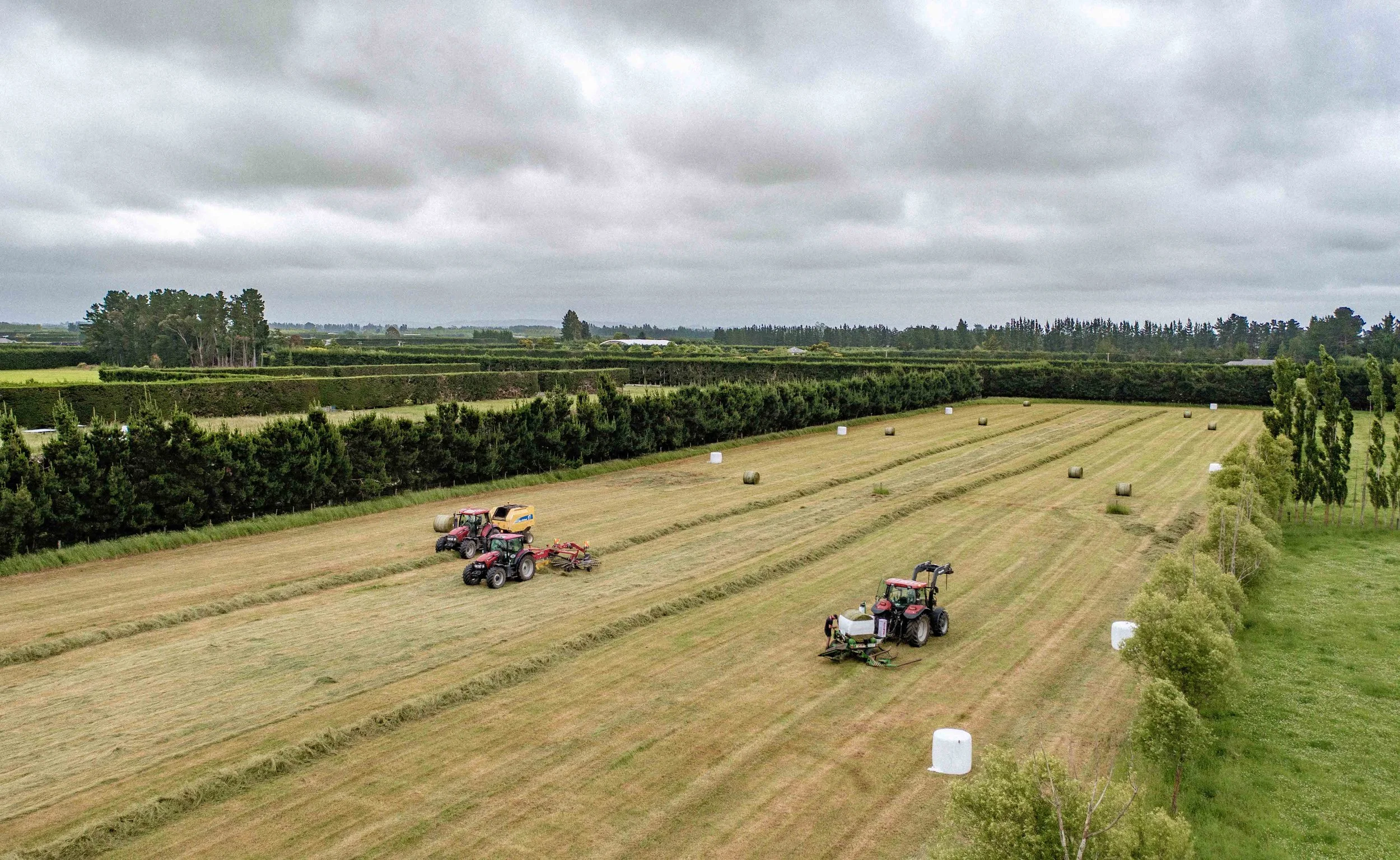 North-Canterbury-Bailing-1.jpg