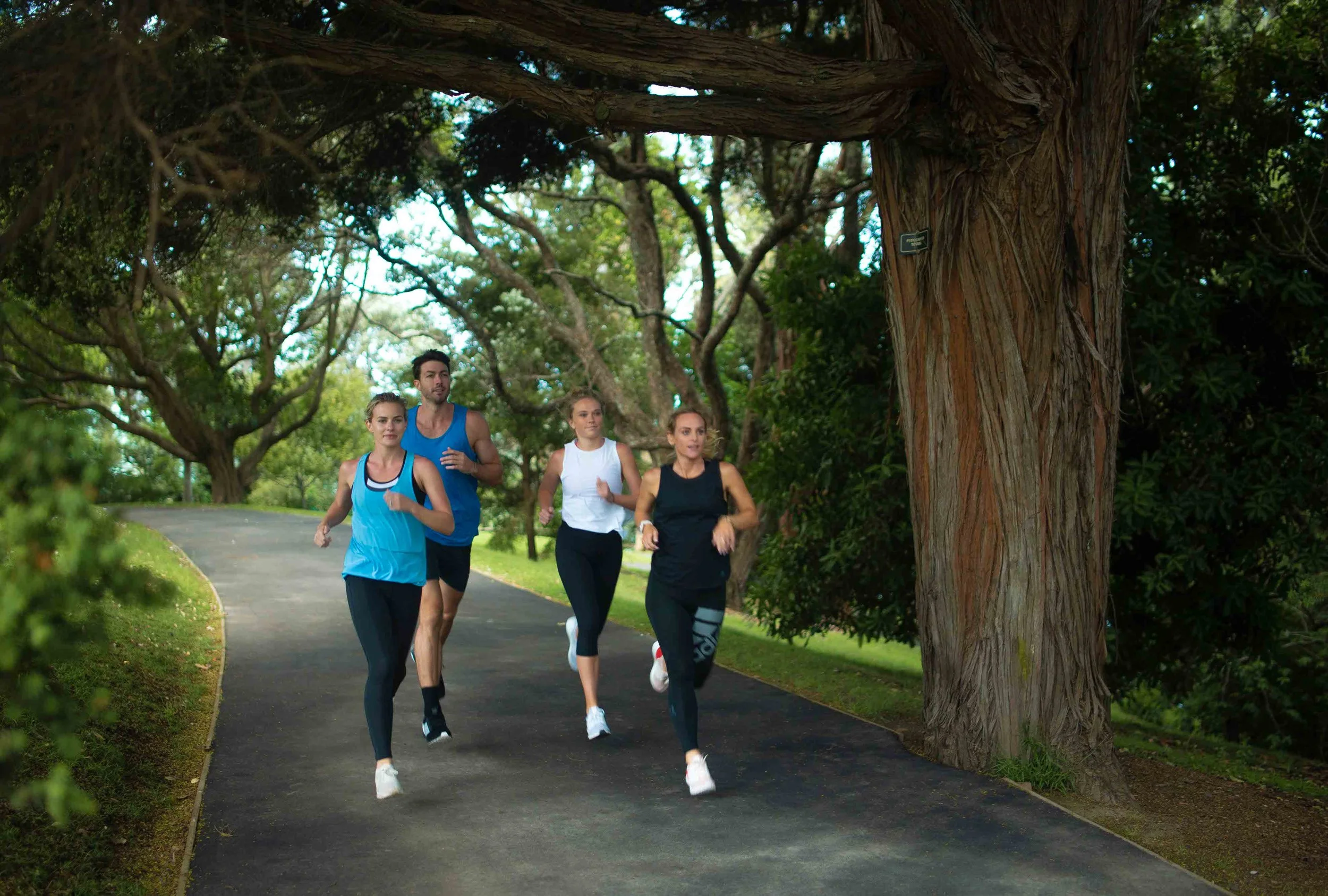 Subaru-Runners-1.jpg