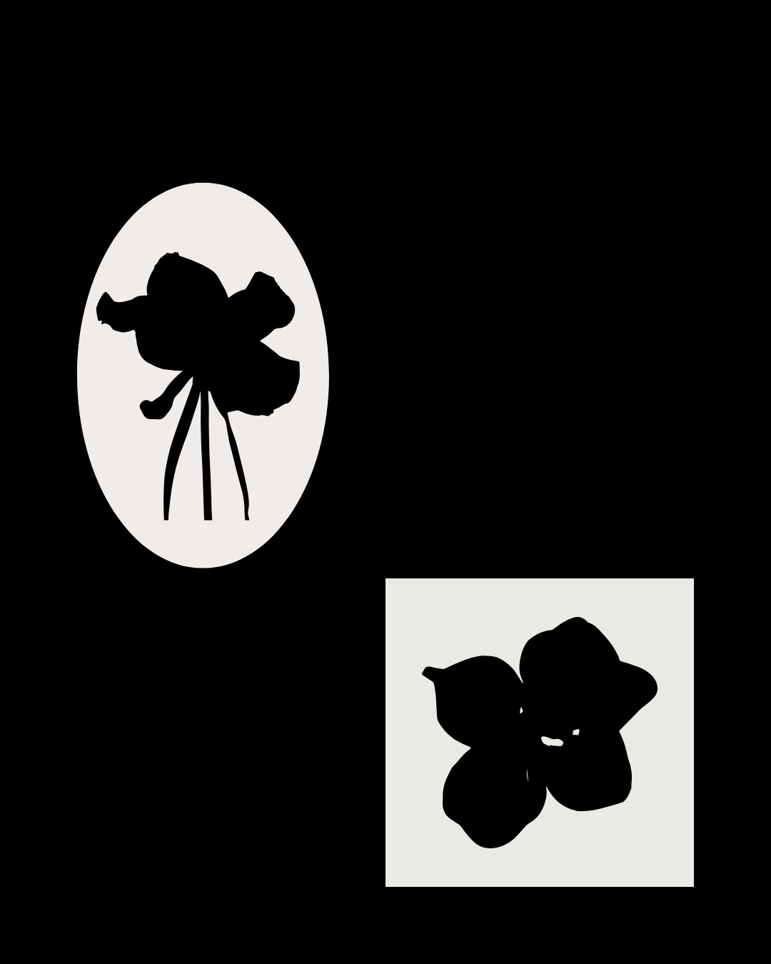 Untitled design (2).png