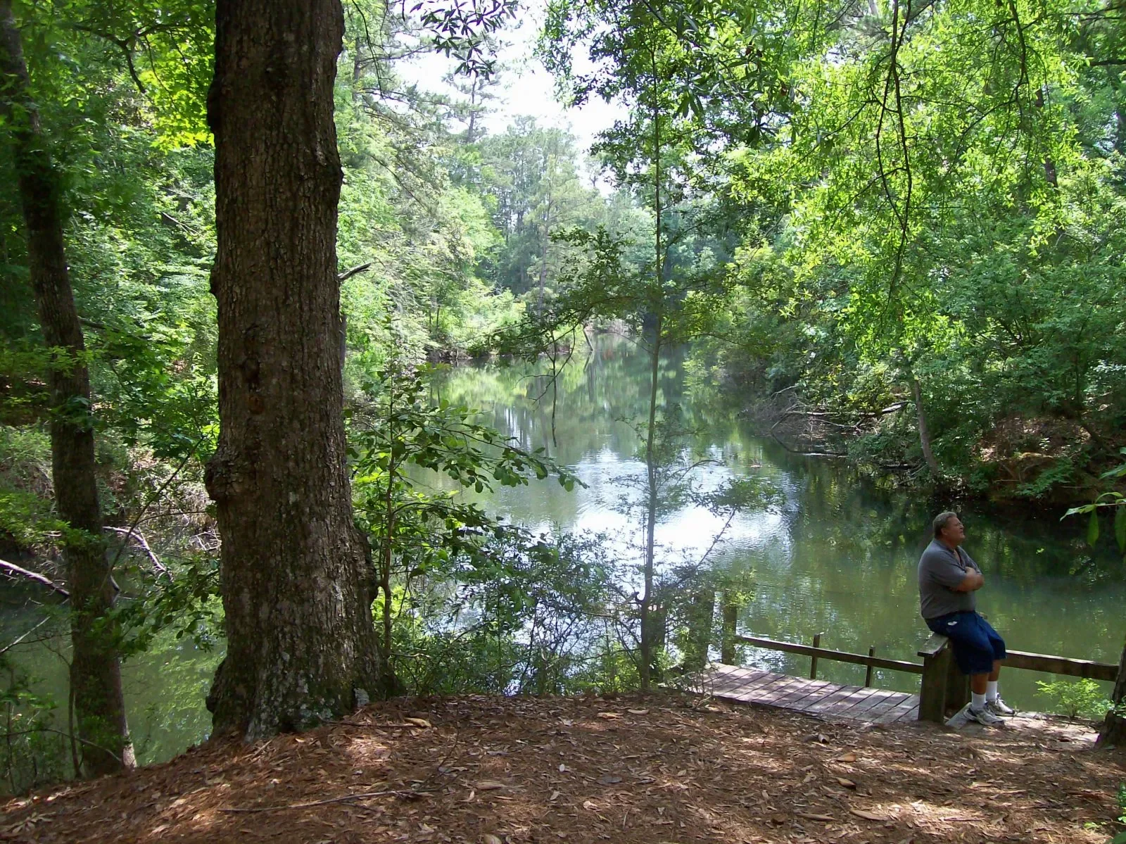 Why Camp Cameron Is the Best RV Park Near Houston (And Doesn’t Feel Like One)