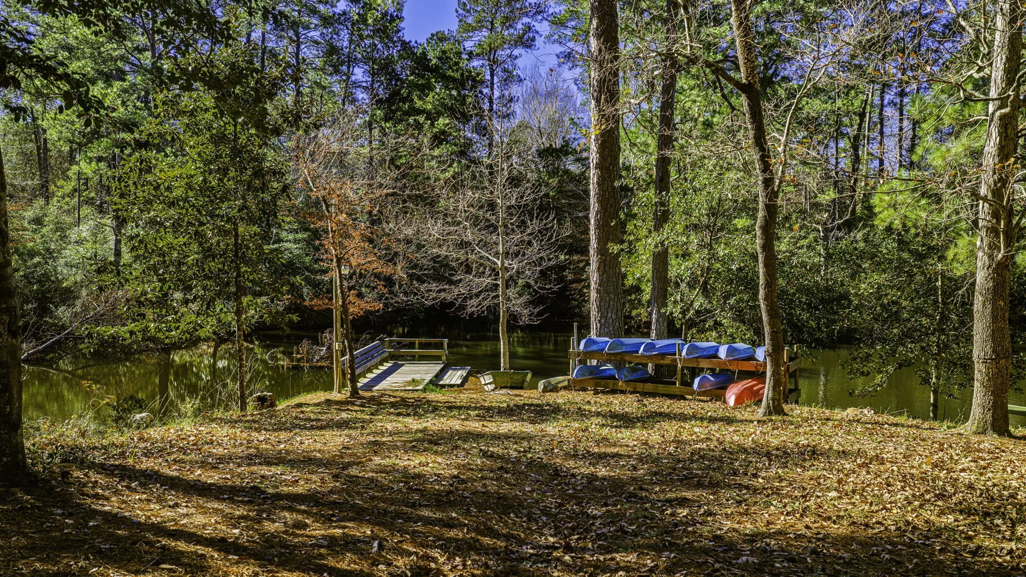 A serene outdoor scene with a small lake or pond surrounded by trees, some of which have lost their leaves. There are canoes and kayaks stored on a dock near the water, with a swing set and a bench nearby. The ground is covered with fallen leaves, and the sky is clear blue.