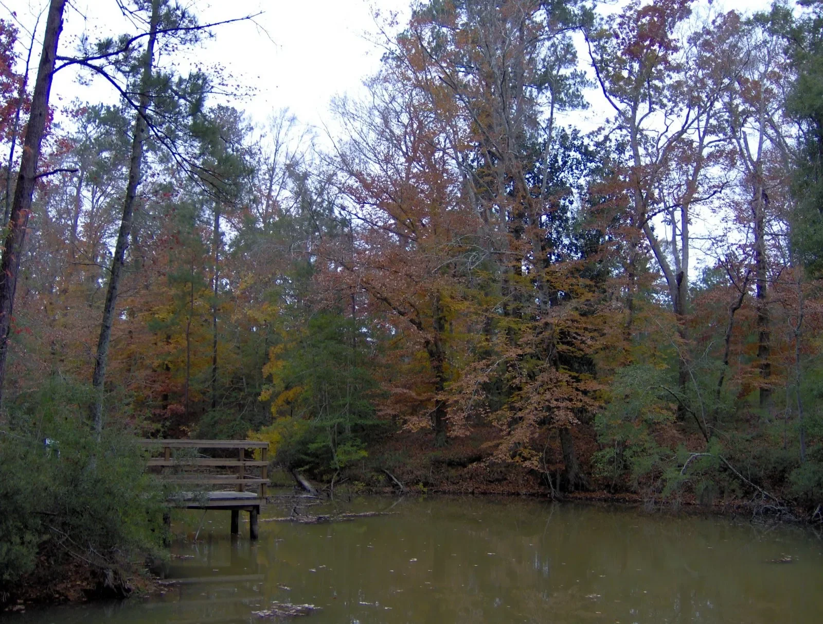 A small wooden dock extending into a pond surrounded by trees with autumn foliage and a cloudy sky.