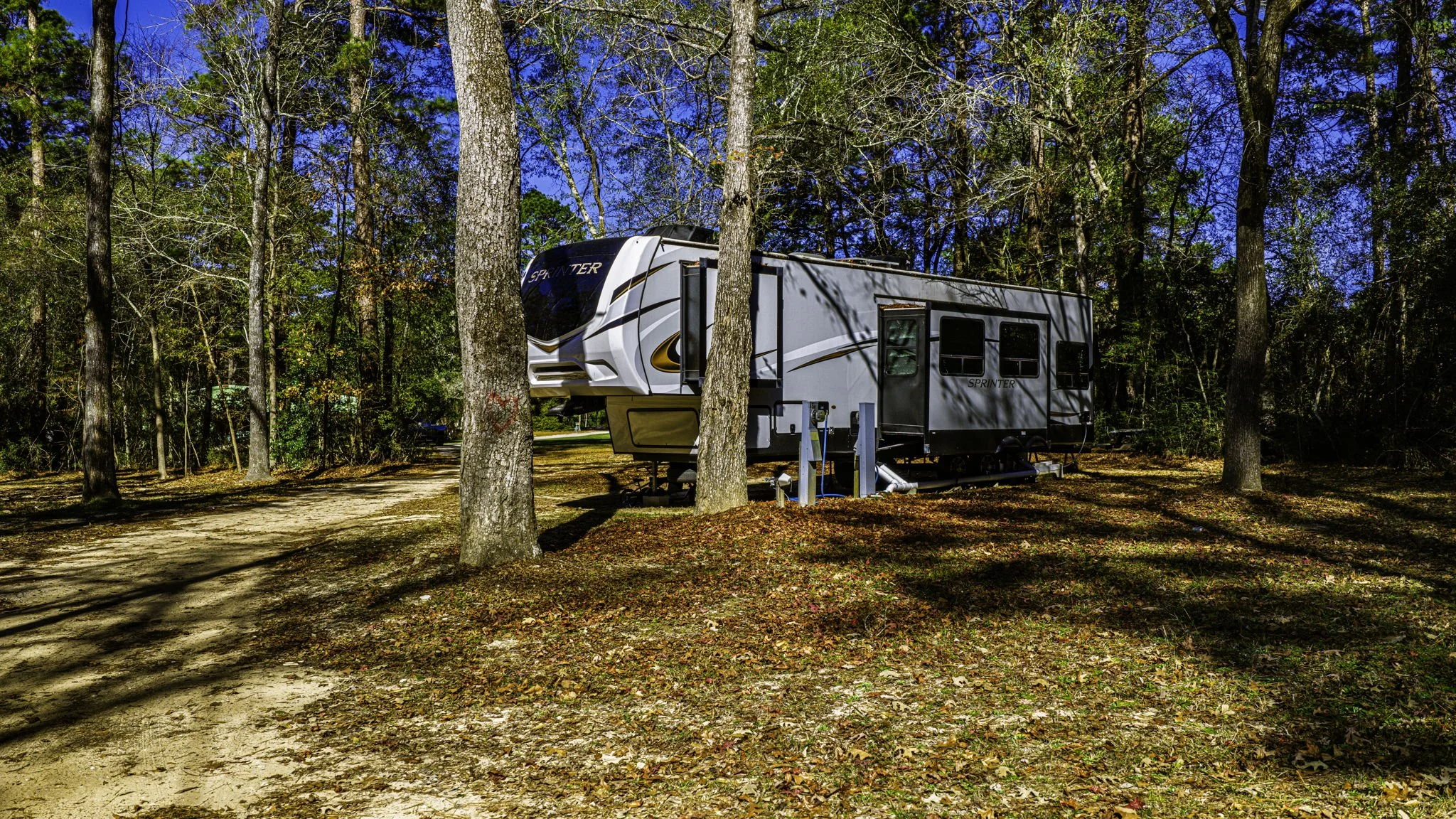 A white travel trailer parked among trees in a wooded campground on a sunny day.