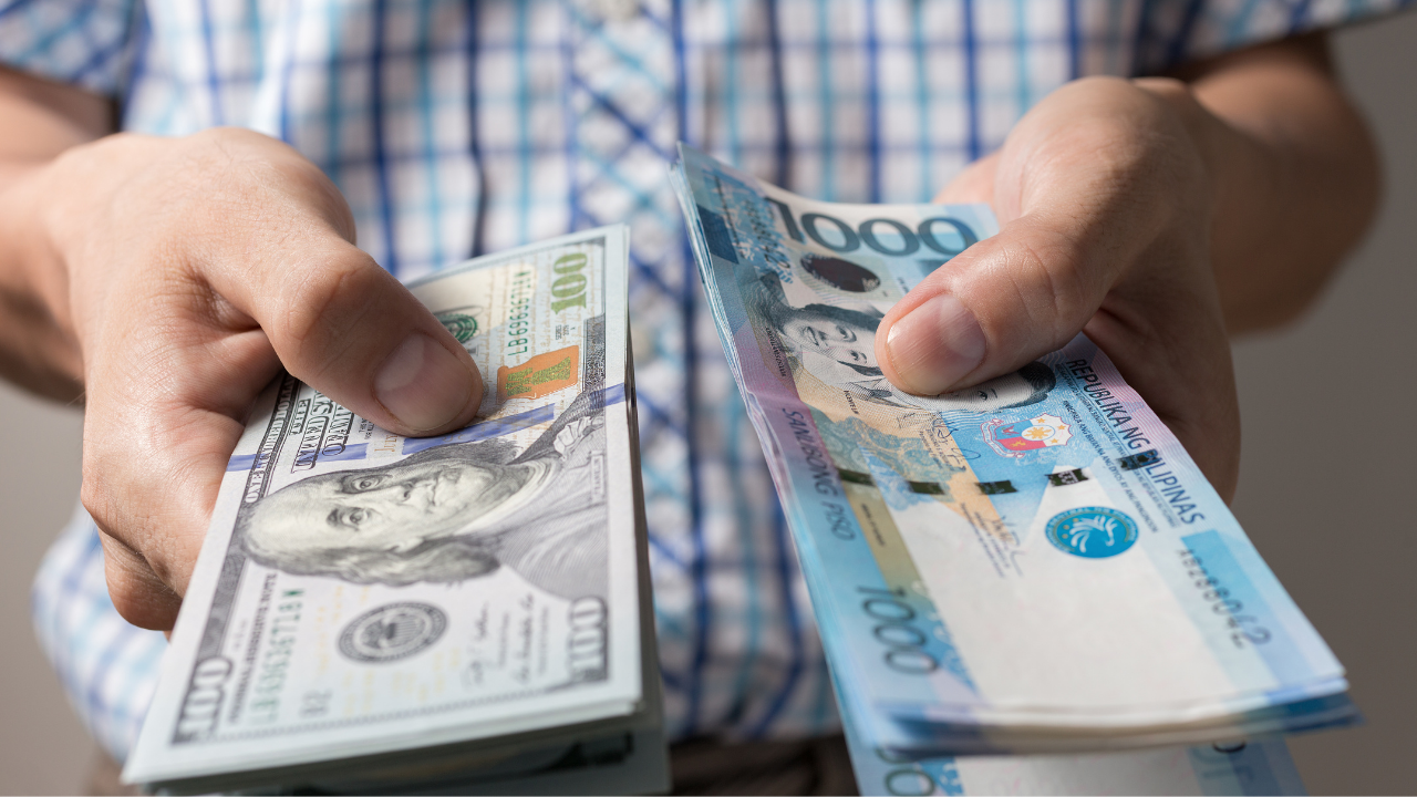 An image of Greenspacing.