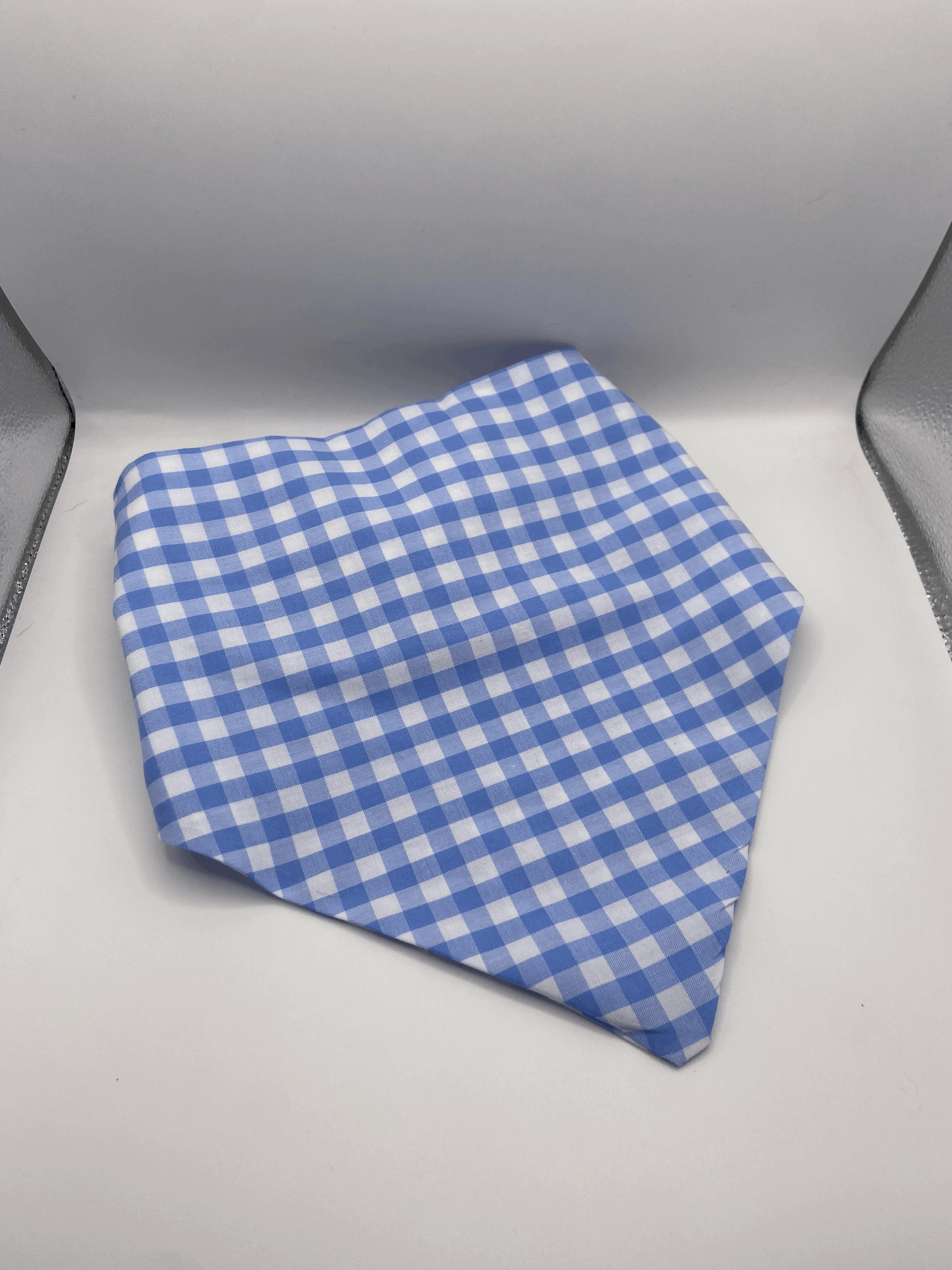 Baby Blue & White Gingham Bandana