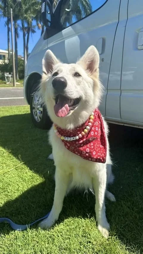 Spring Pastels Necklace