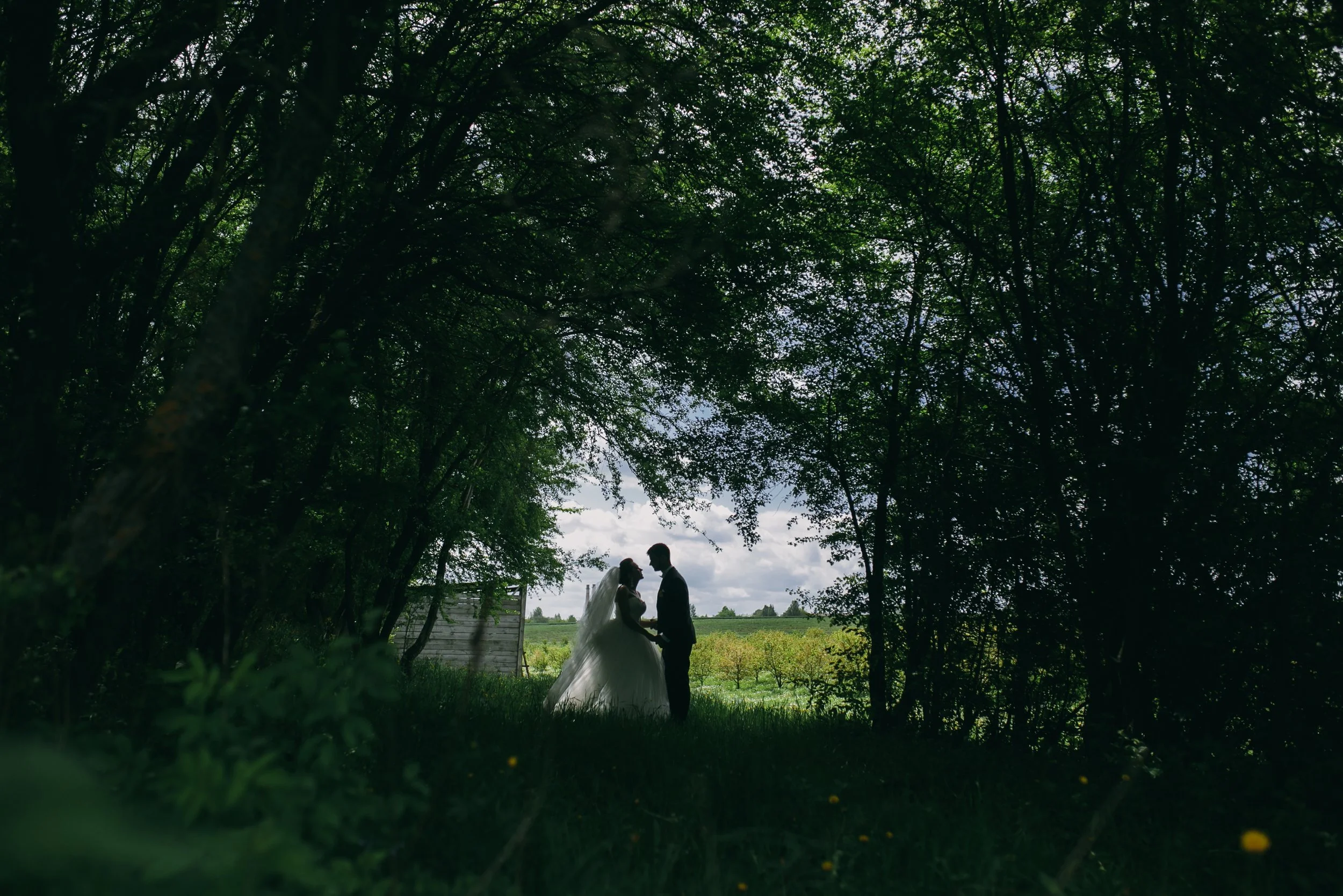 Top 10 woodland wedding locations in Hampshire