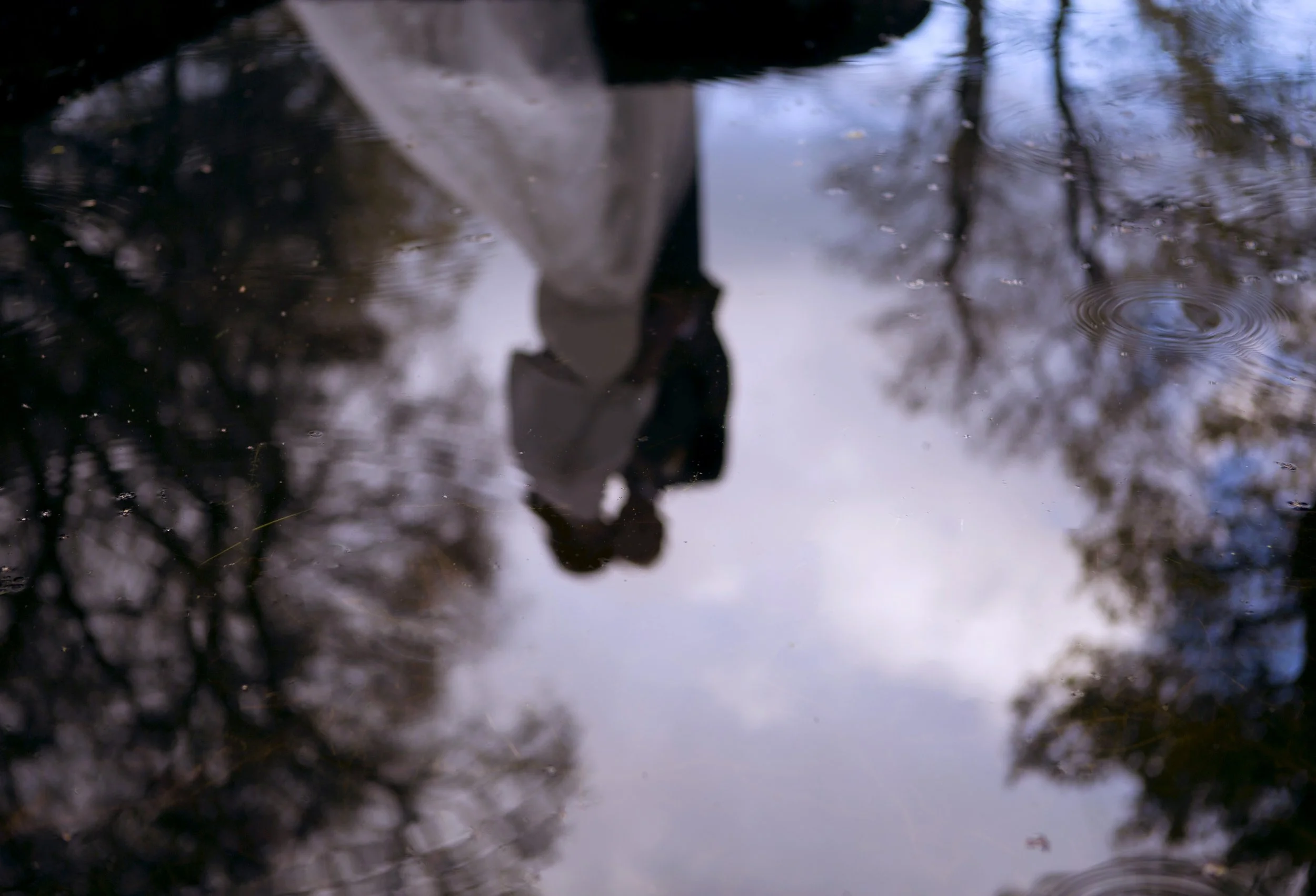 Everlong Ceremonies Wedding prices