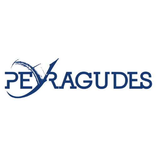 Logo avec le mot 'PEY RAGUDES' en texte bleu, intégrant un élément graphique d'un cercle ou d'une sphère.