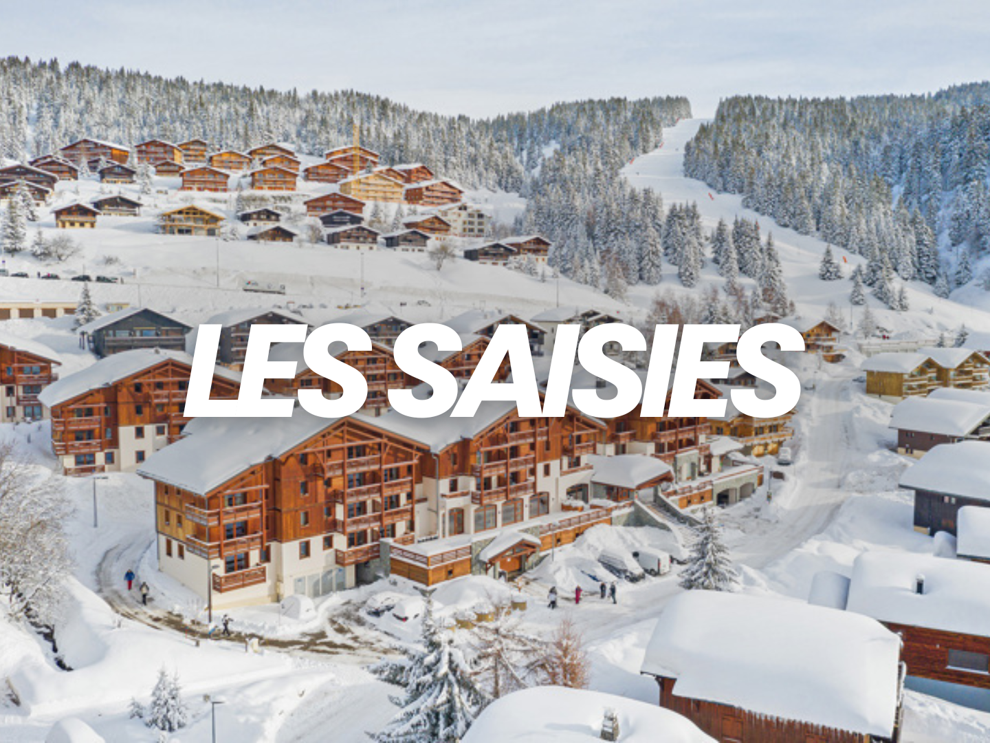 Village de montagne avec des chalets en bois recouverts de neige, entouré de forêts enneigées, sous un ciel gris.