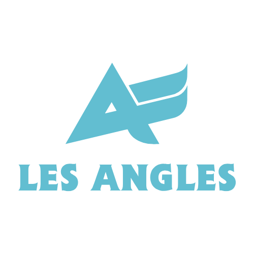 Logo avec un triangle stylisé, une forme fluide bleue et le texte "Les Angles" en dessous.