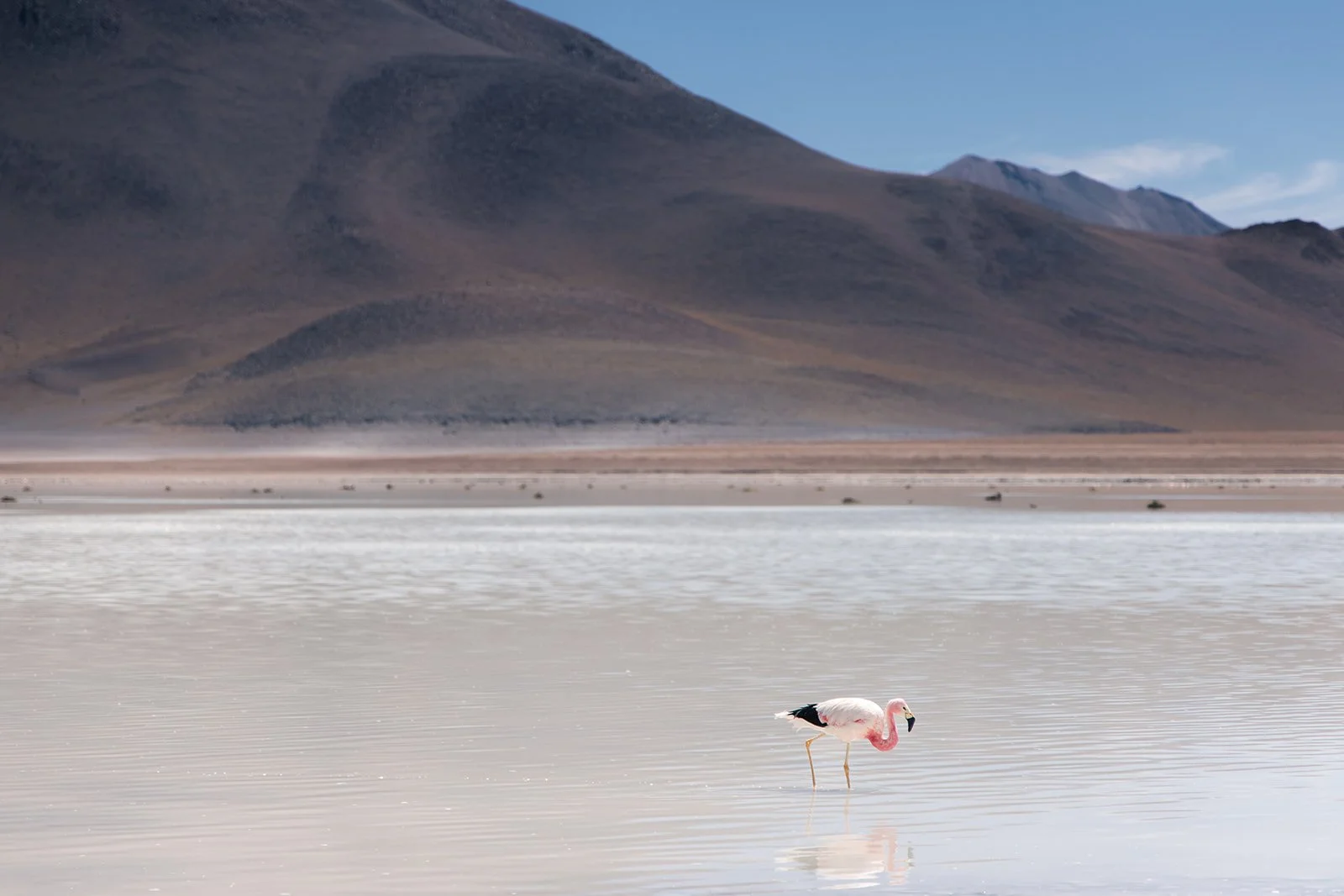 Salar de Uyuni Day 1_websize.jpg