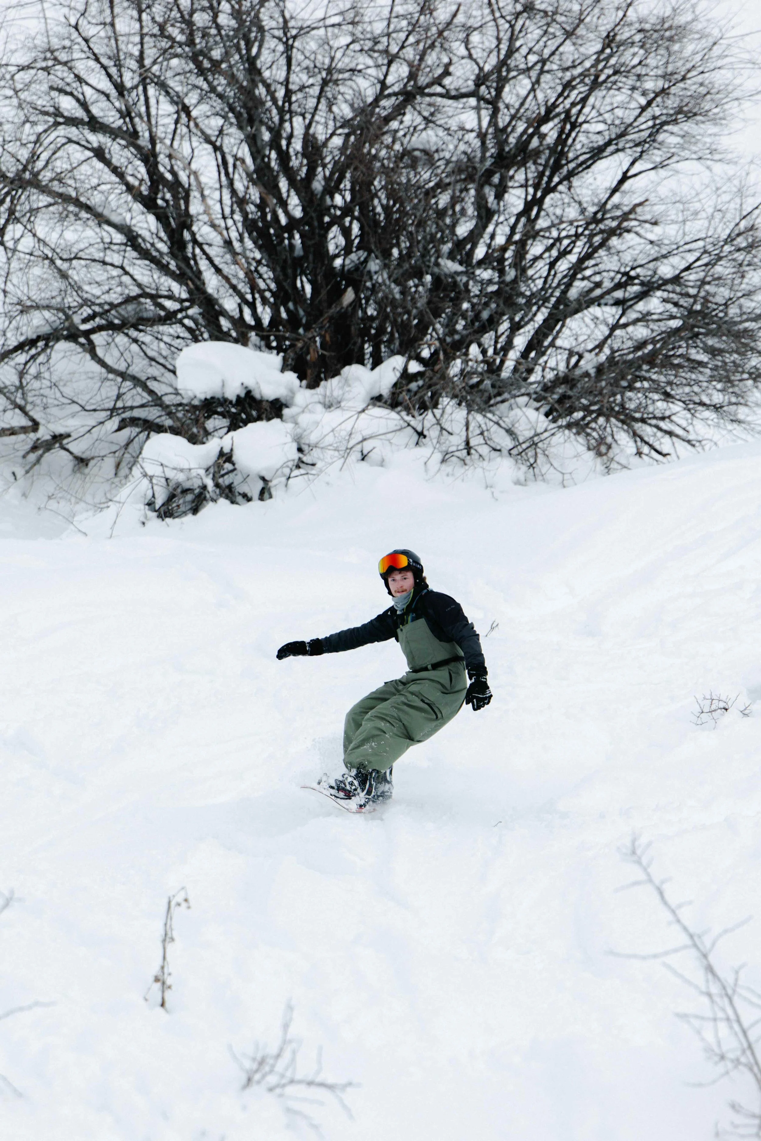 A person snowboarding down a snowy slope with a large, leafless tree in the background.