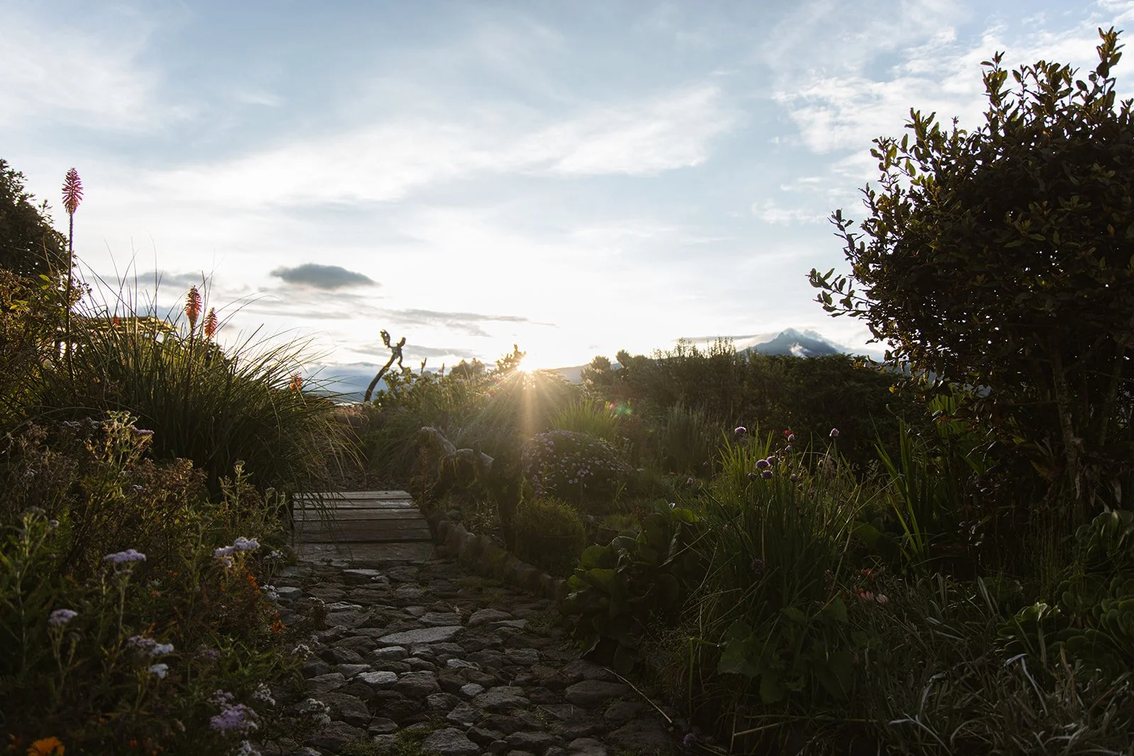 rest cotopaxi-7_websize.jpg