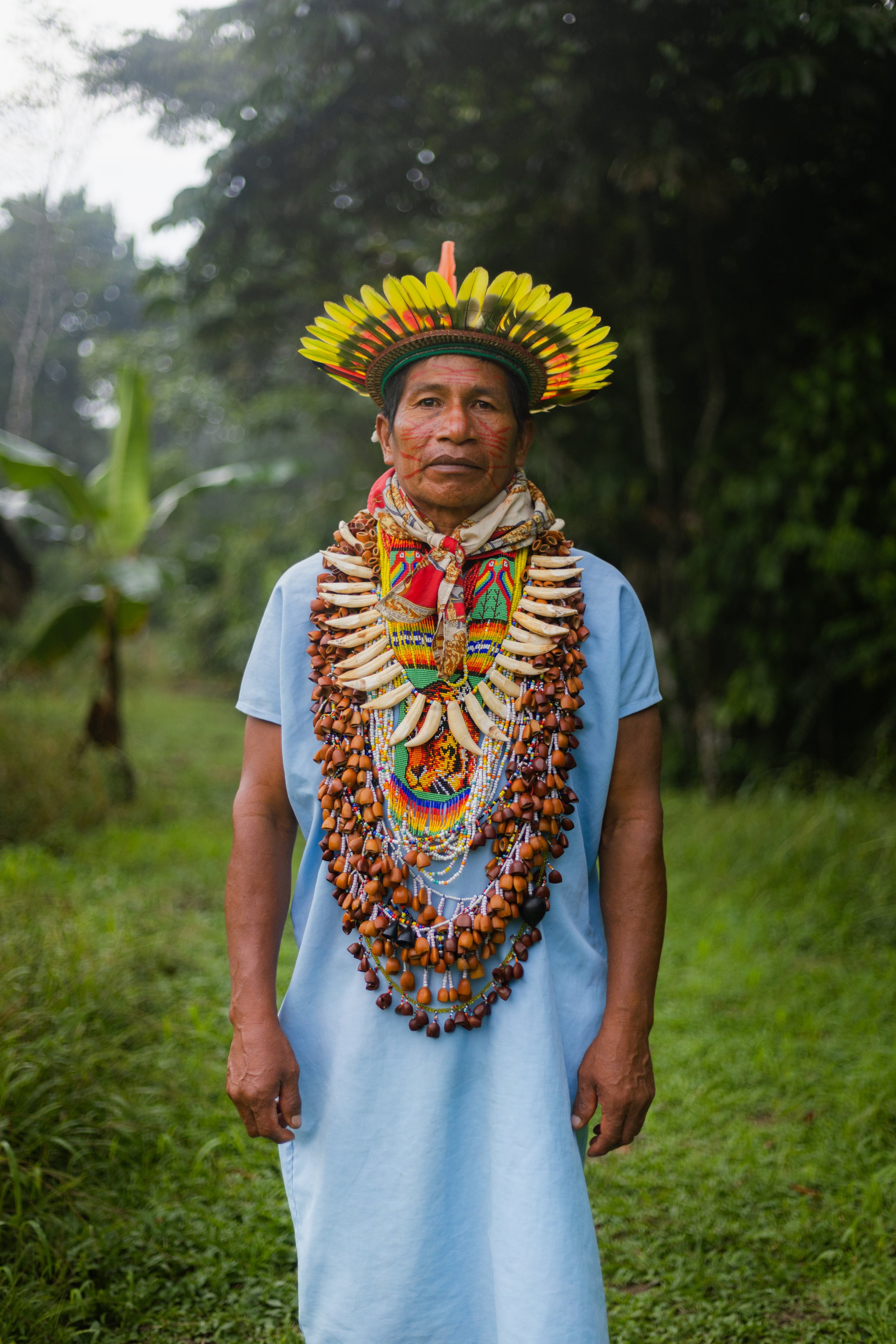 Collaborations Along the way