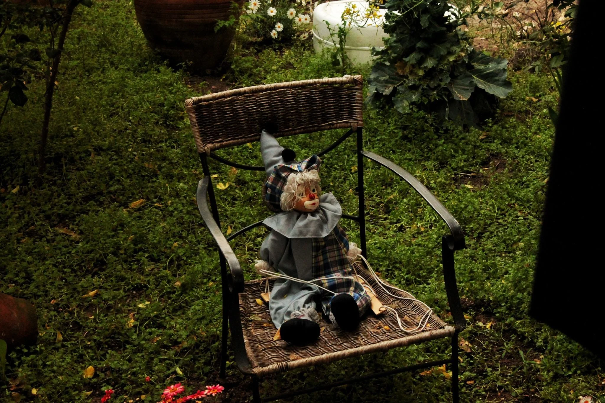 A doll dressed in clown attire, sitting on a wicker garden bench in a lush green garden surrounded by potted plants and flowers.