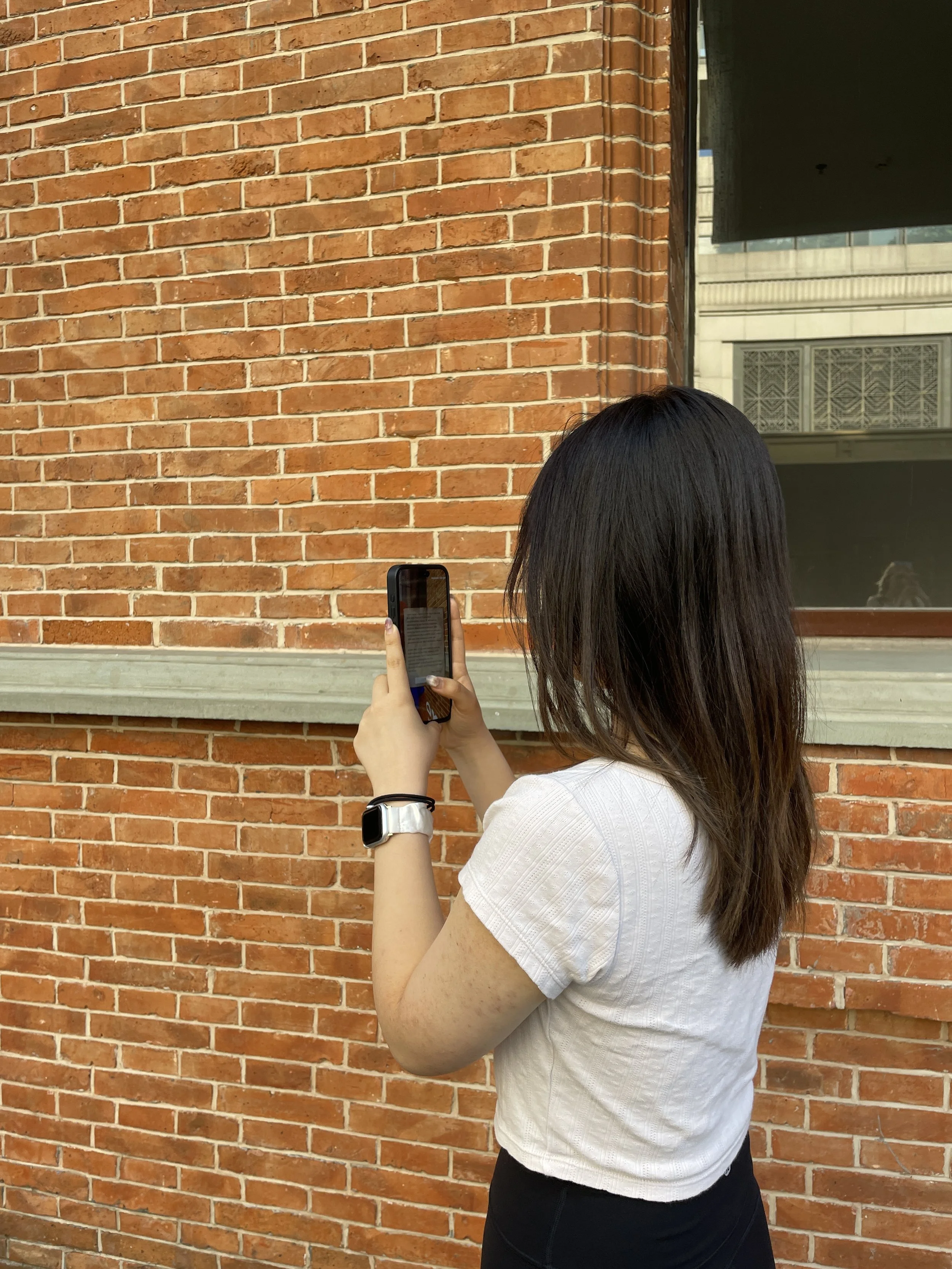 Paddington's Architectural Adventure