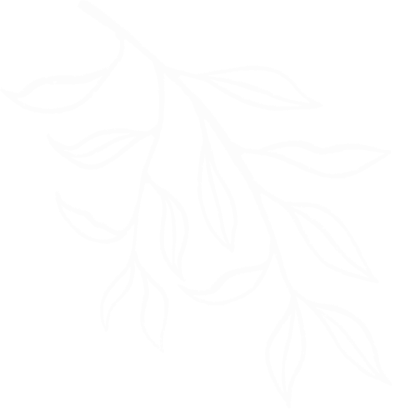 White outline of a hanging leafy branch on a black background.