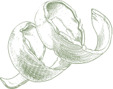 Line drawing of a mouse caught in a trap