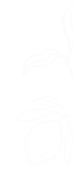 Line drawing of a plant with long leaves and a round fruit or seed at the bottom, some dotted details inside the fruit.