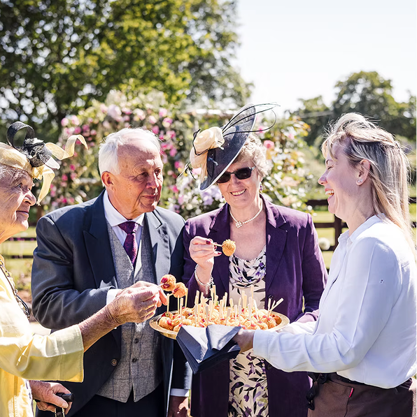 A group of elderly people and a woman at a sunny outdoor gathering enjoying finger foods from a tray.