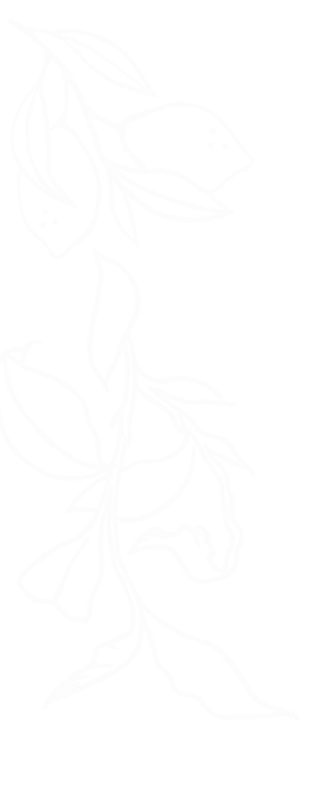 White outline of a citrus branch with lemons and leaves on black background.
