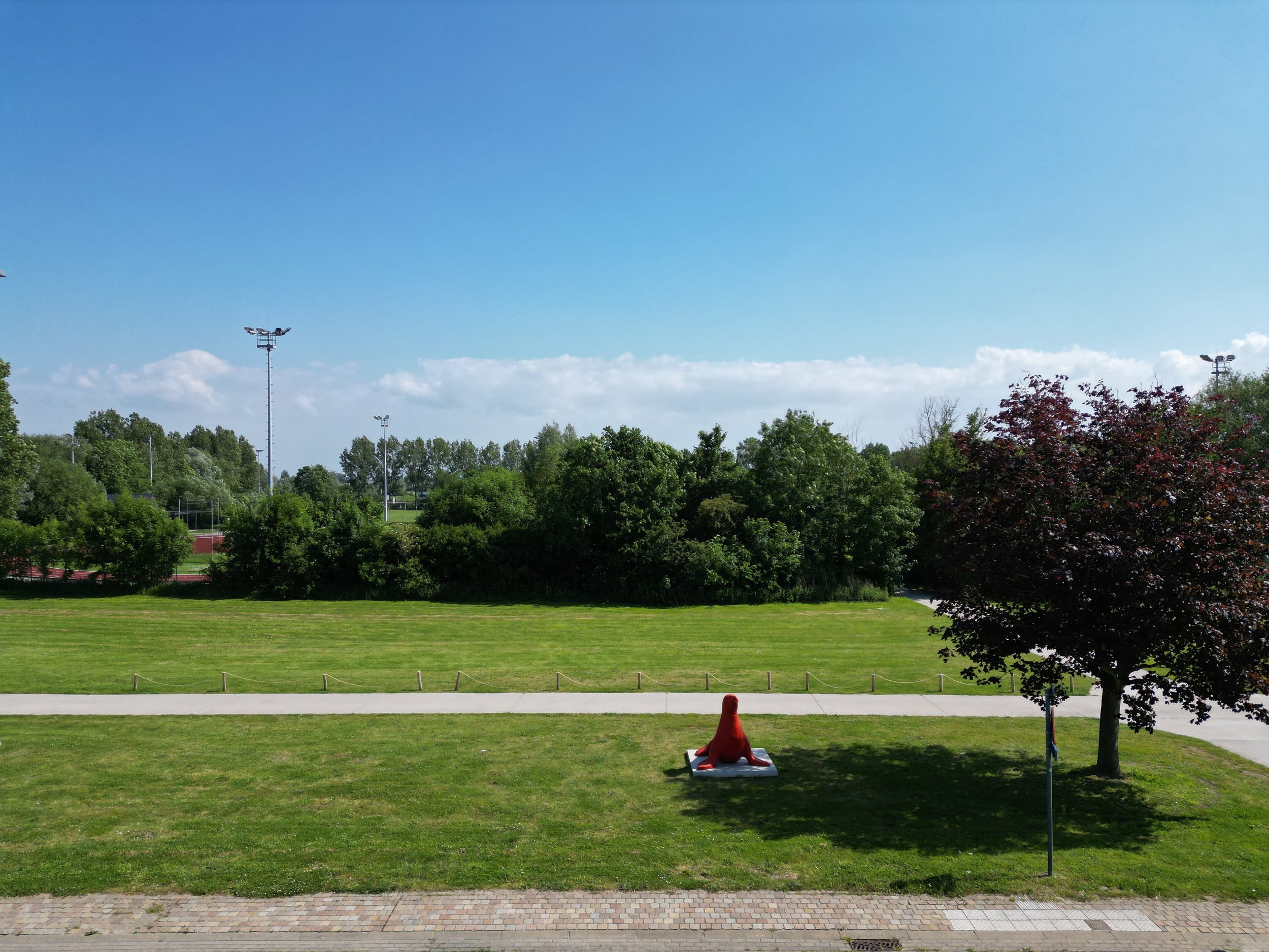 Uitzicht op het voorliggende park